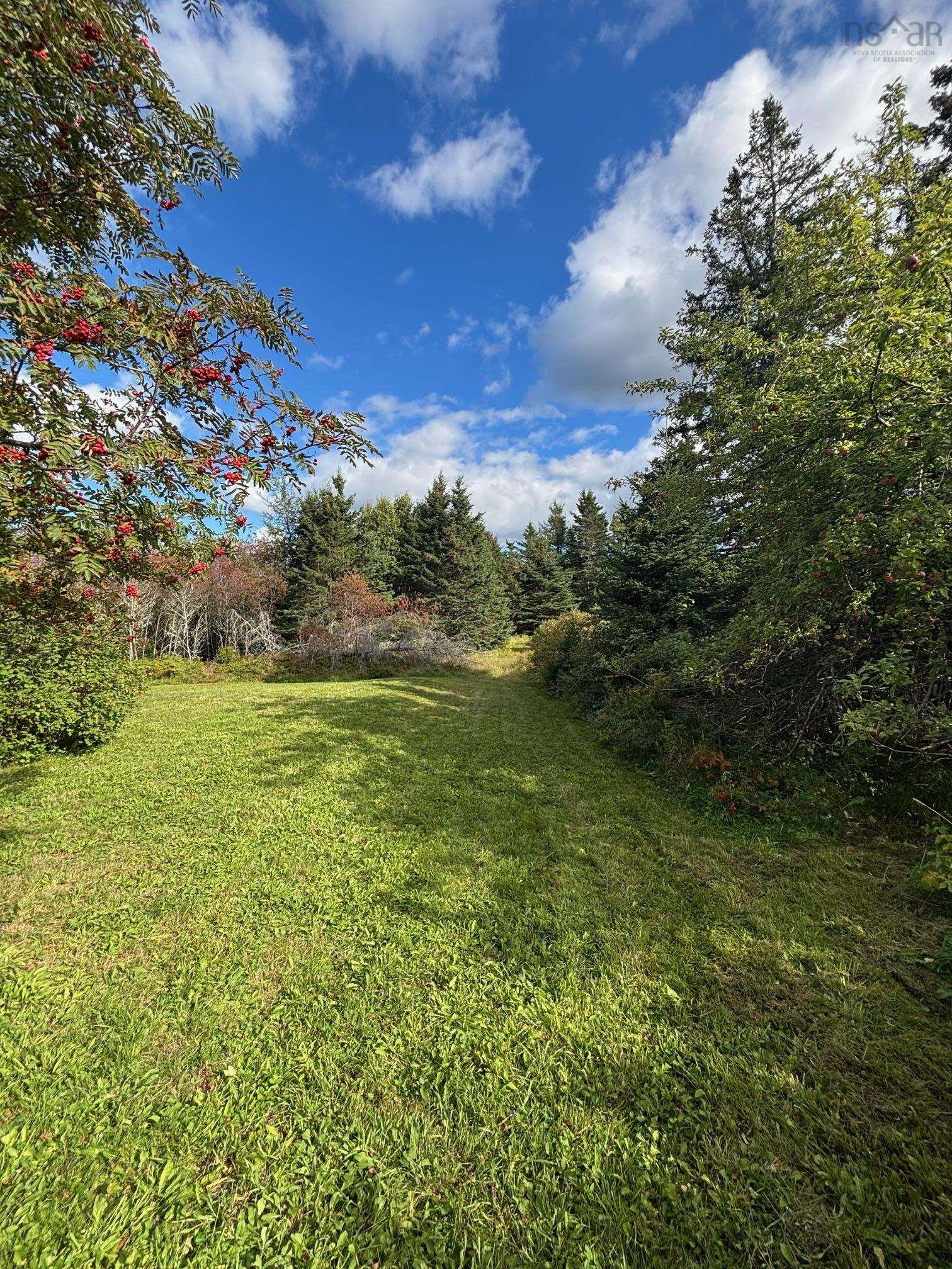 View image 15
