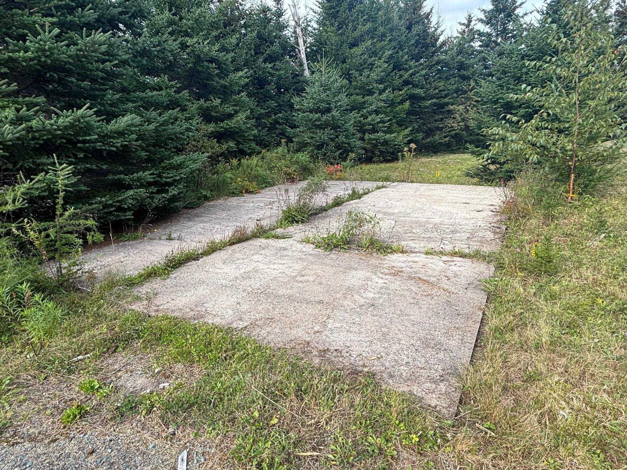 View image 18