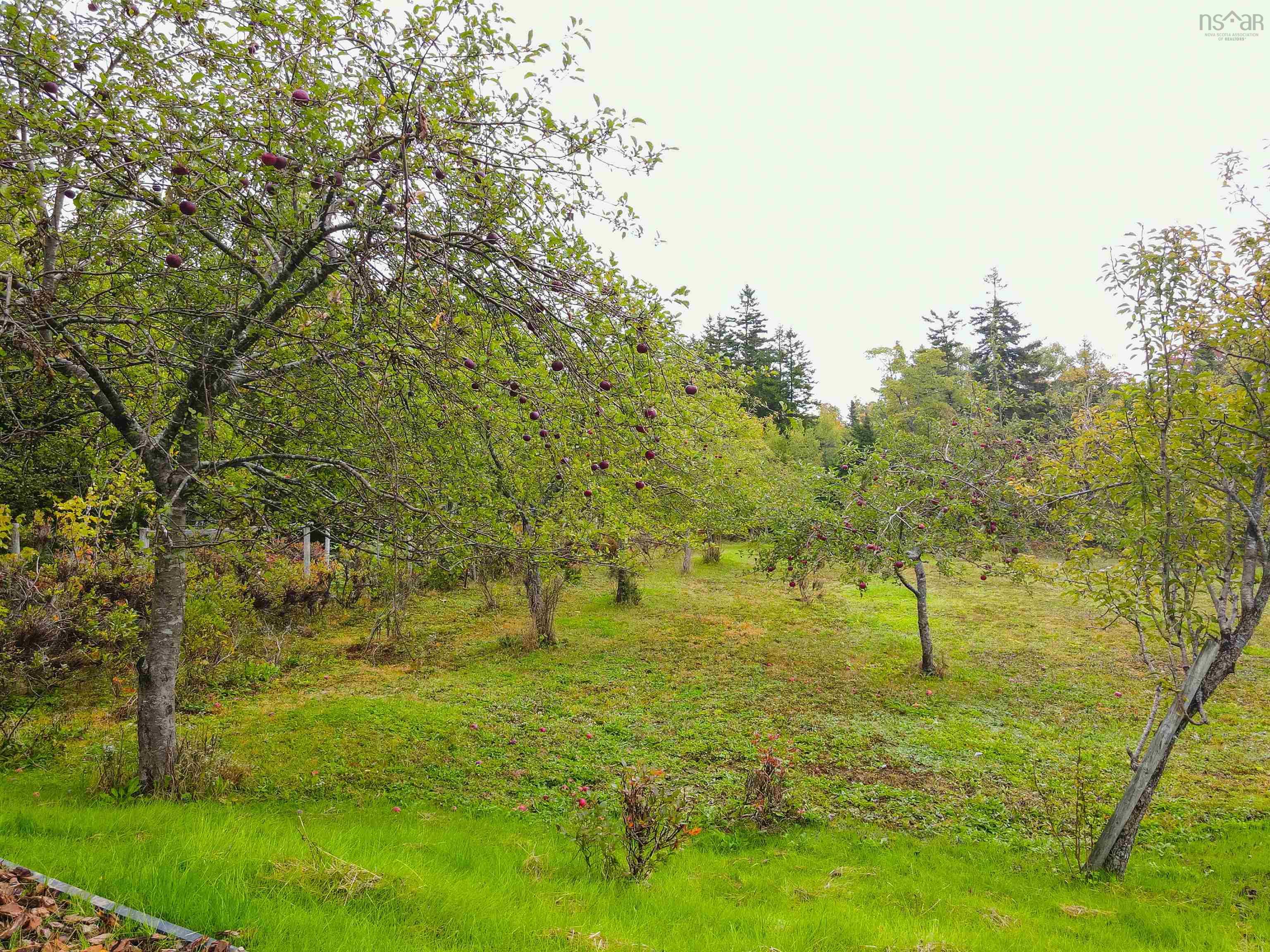 View image 22