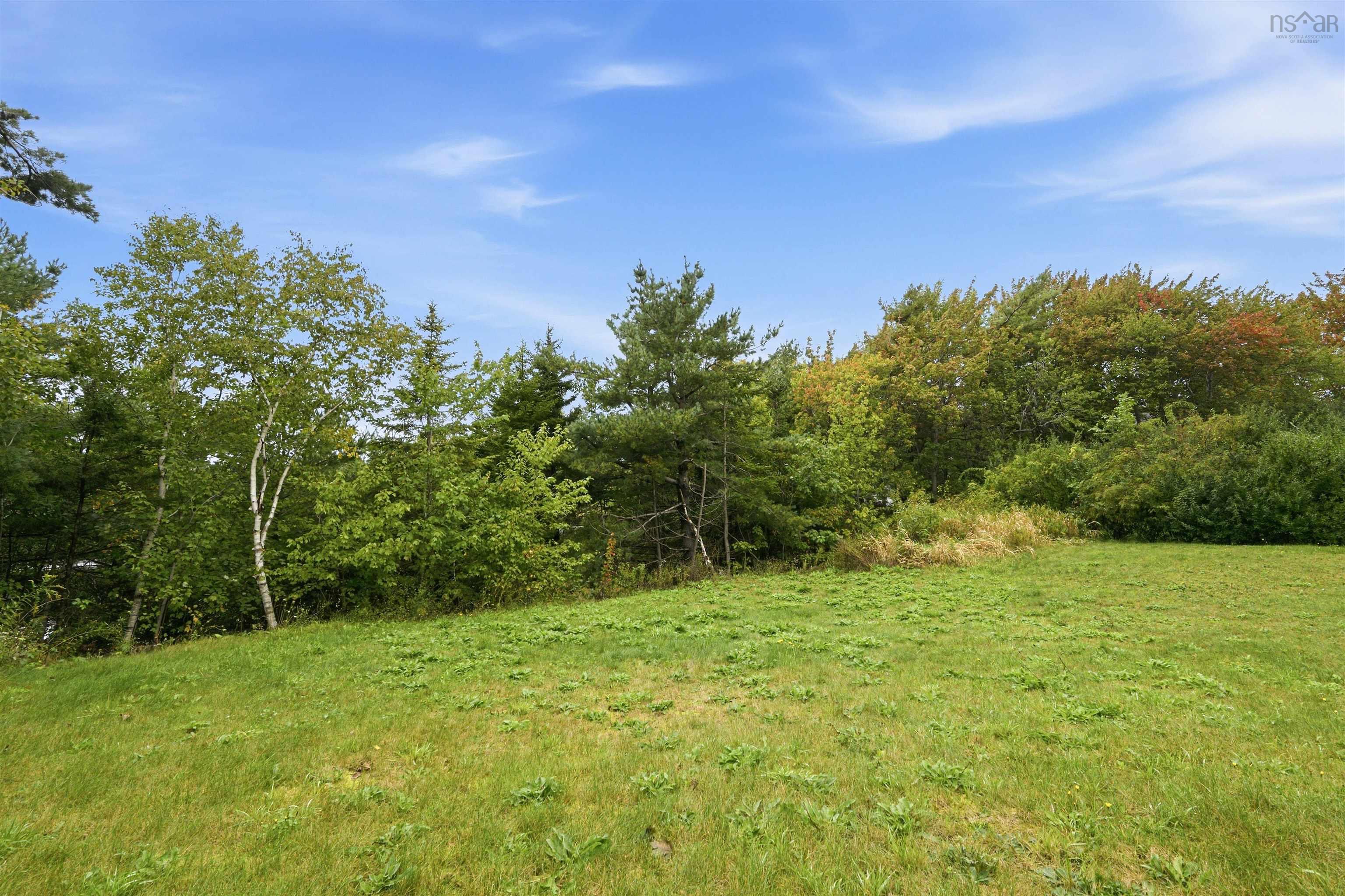 View image 41