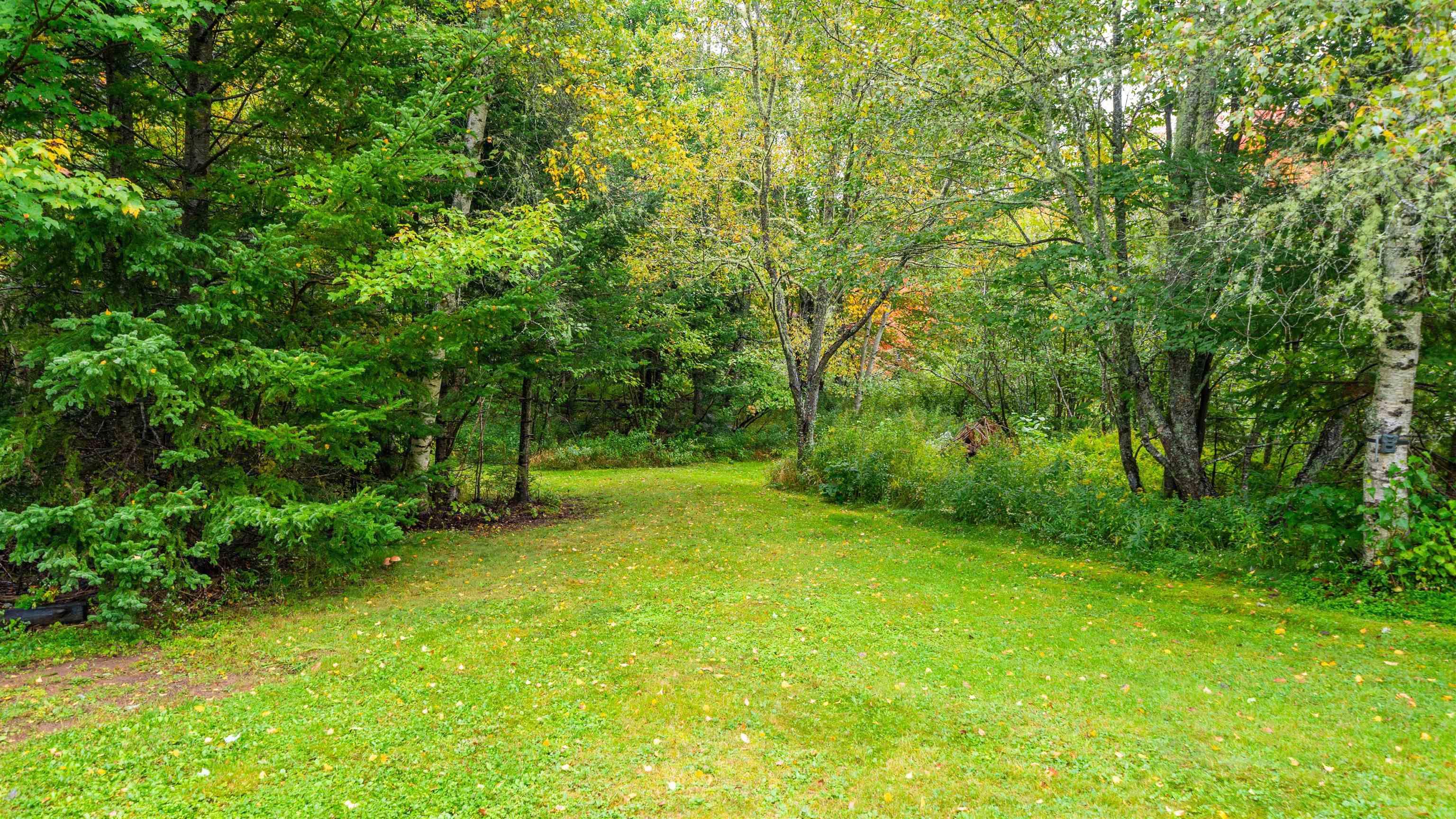 View image 50