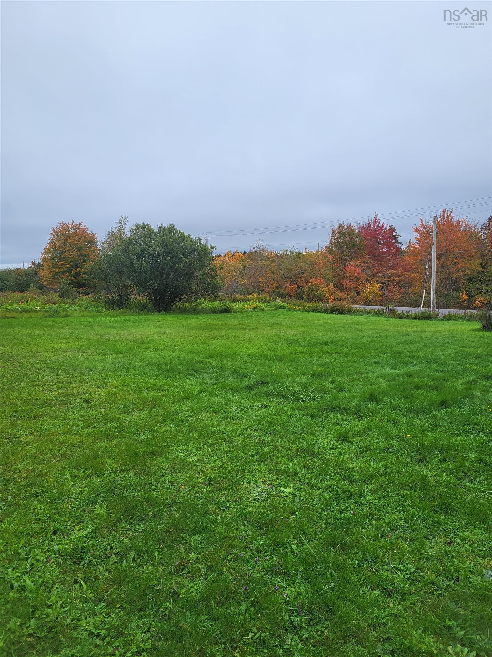View image 10