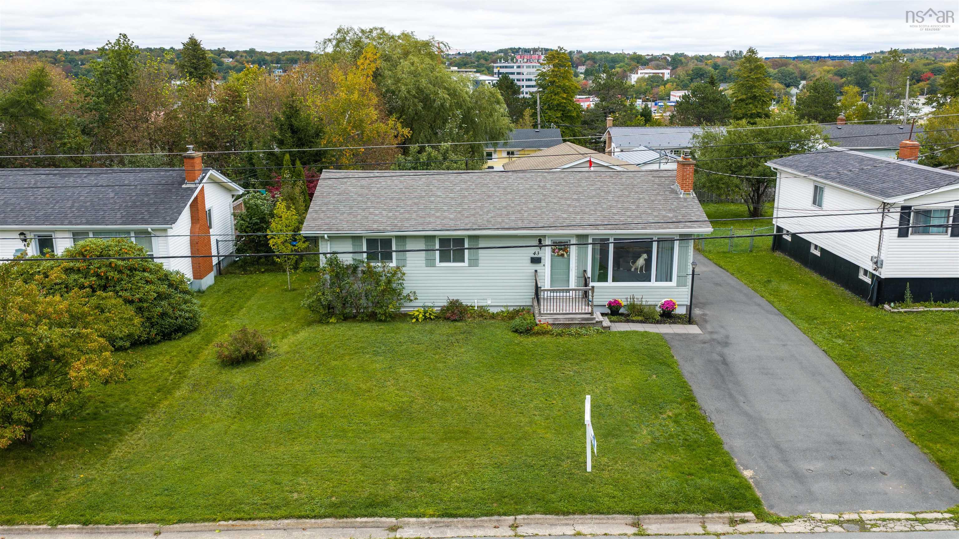 View image 38