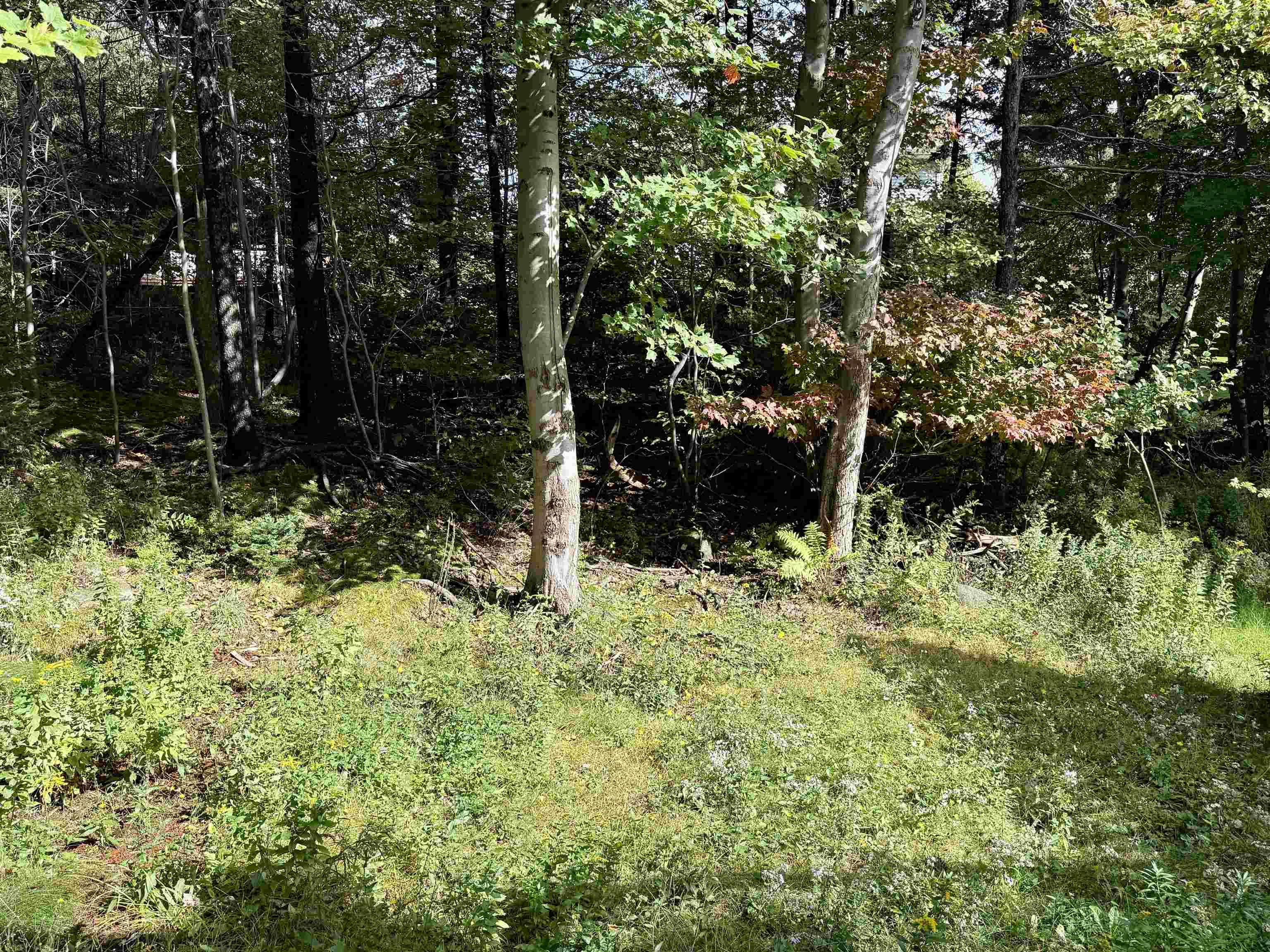 View image 26