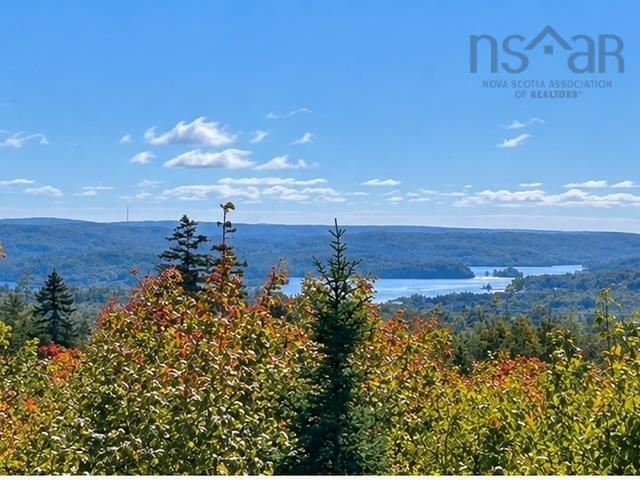View image 50