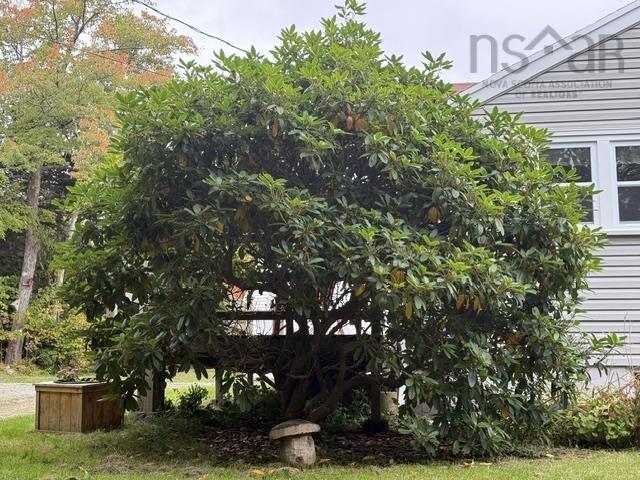 View image 39