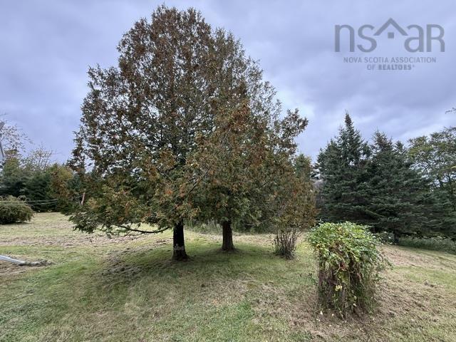 View image 41