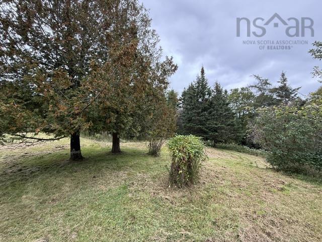 View image 42
