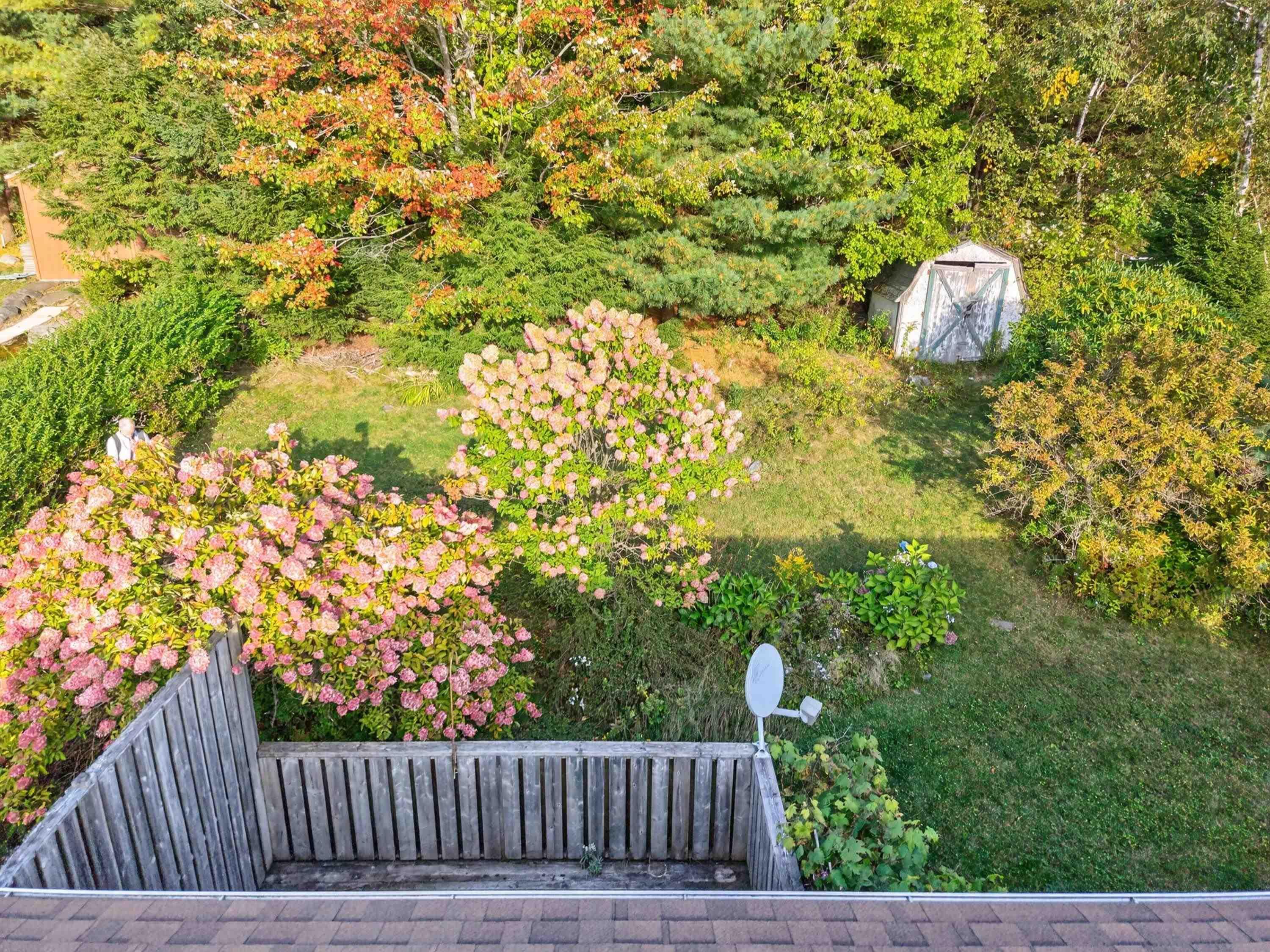 View image 10