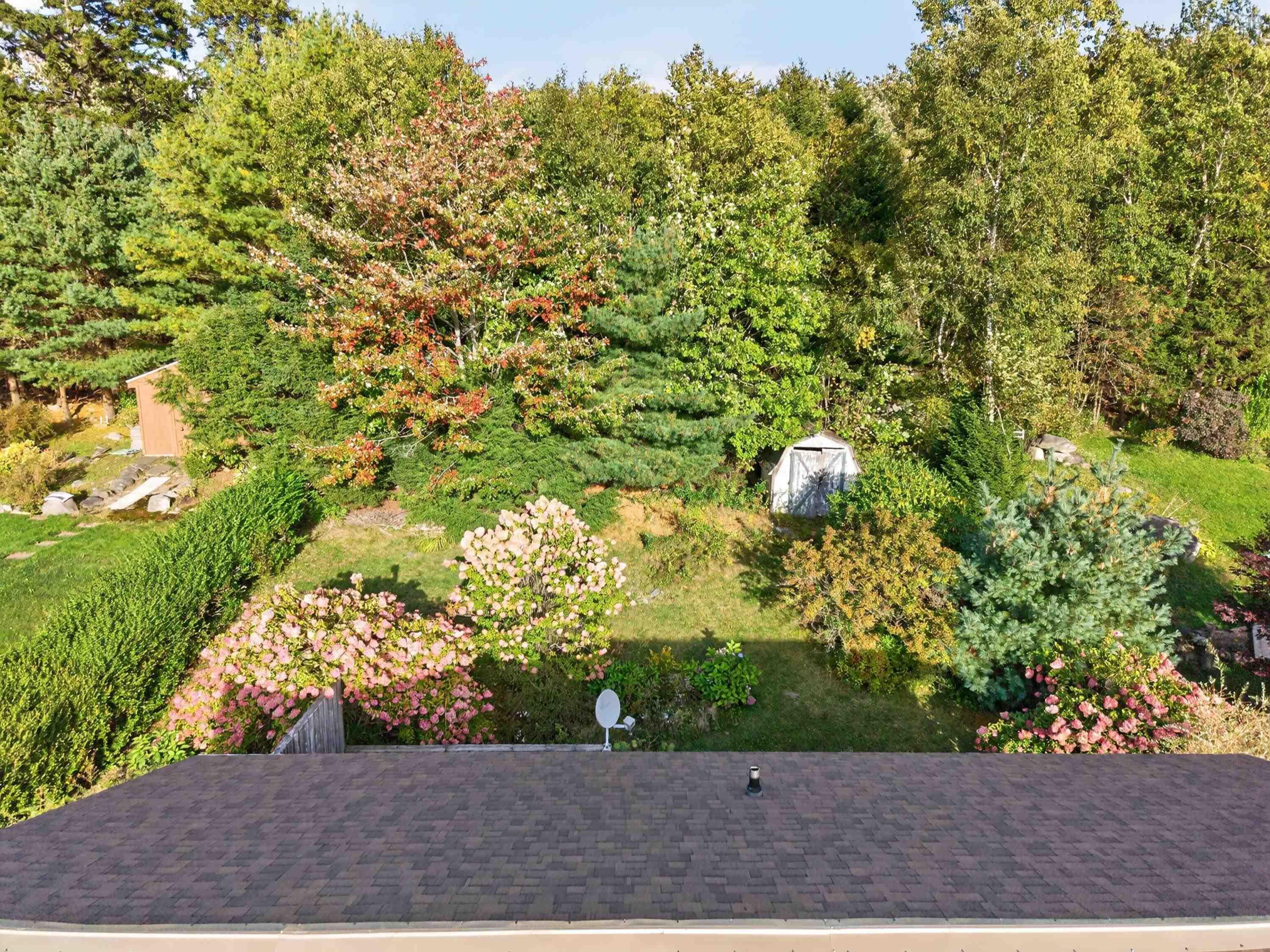 View image 11