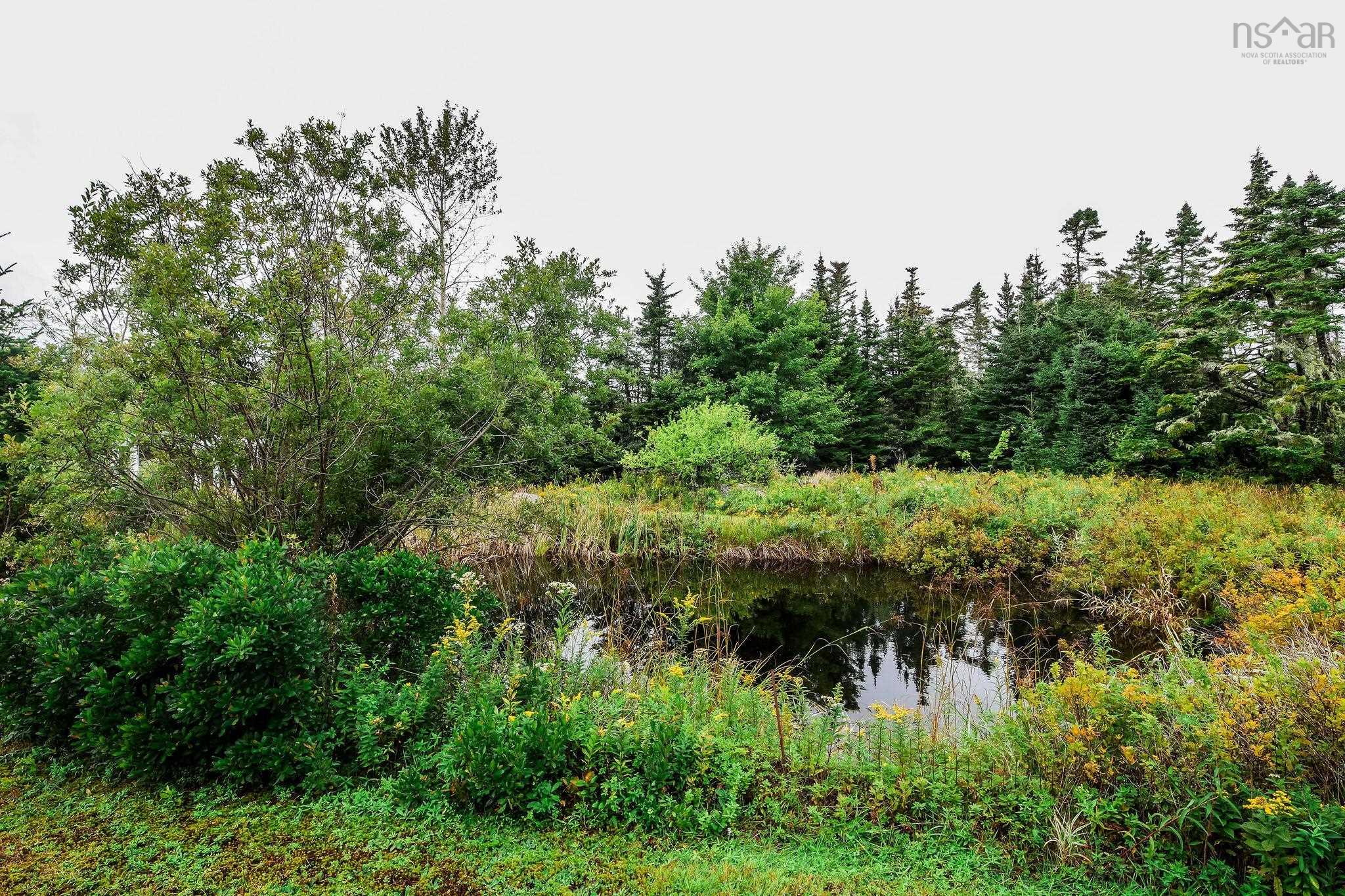 View image 19
