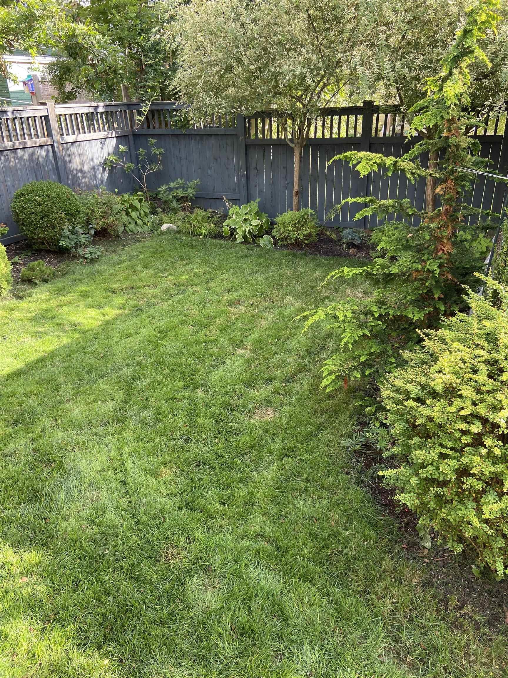 View image 36