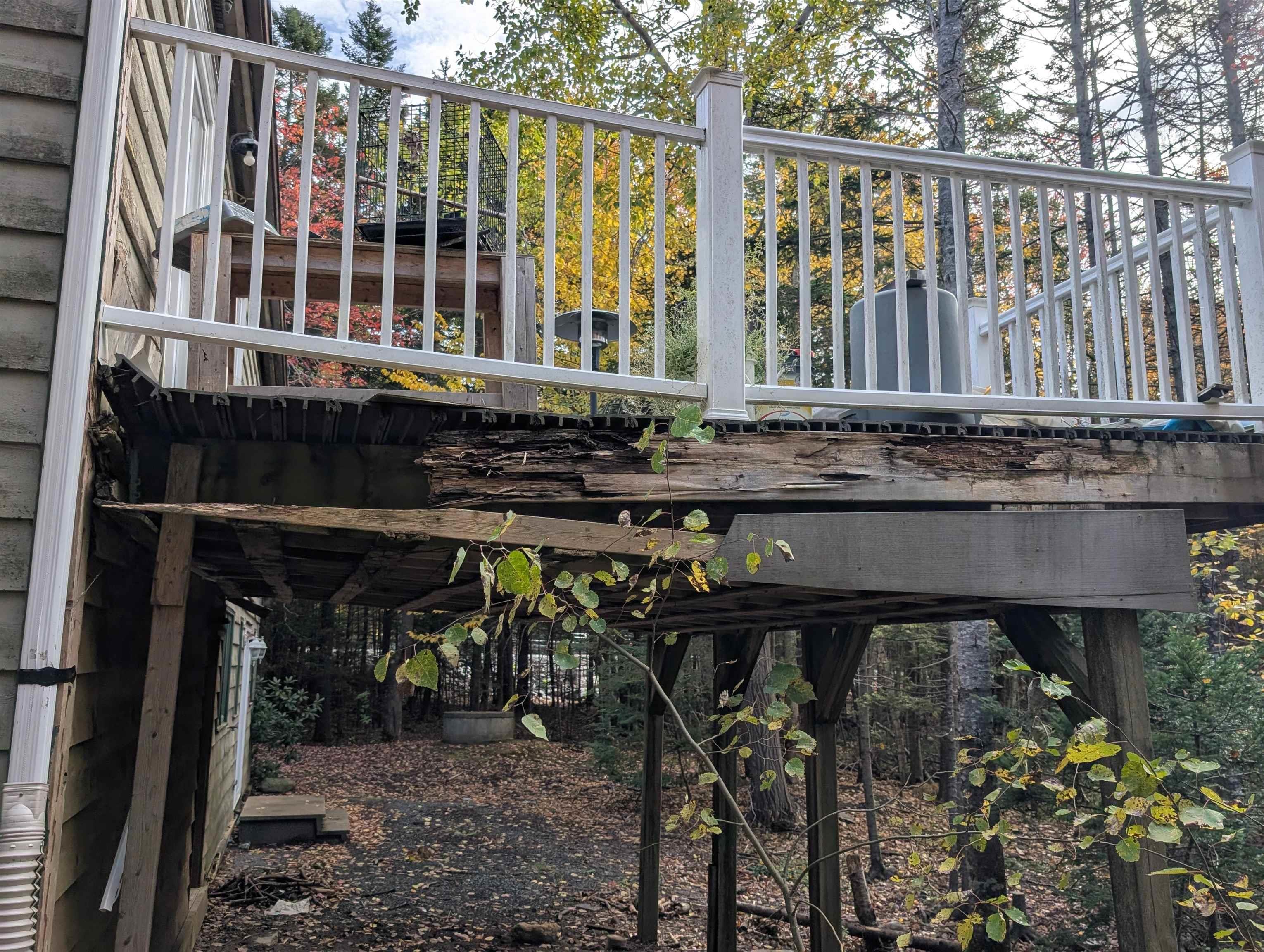 View image 11