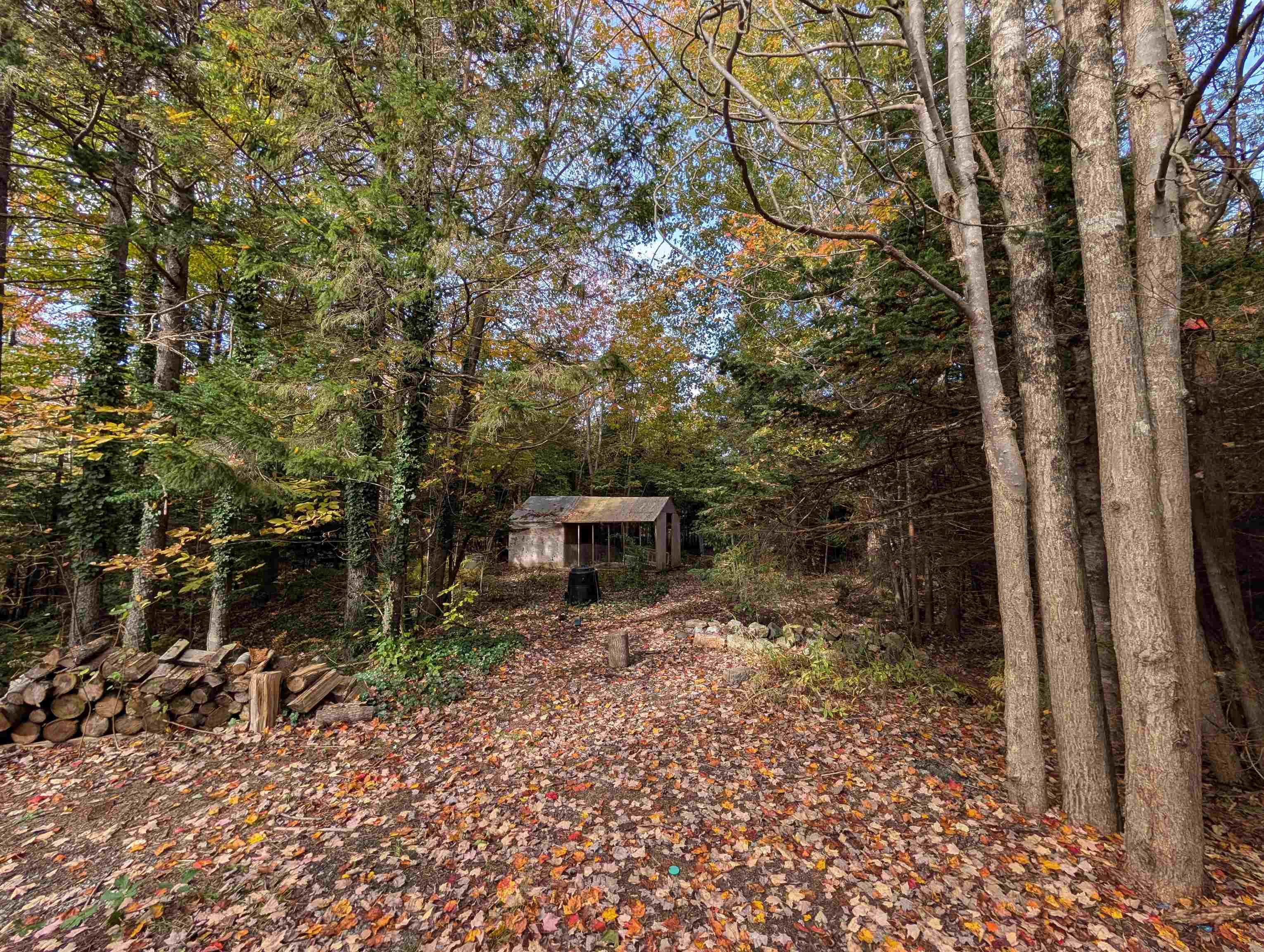 View image 12