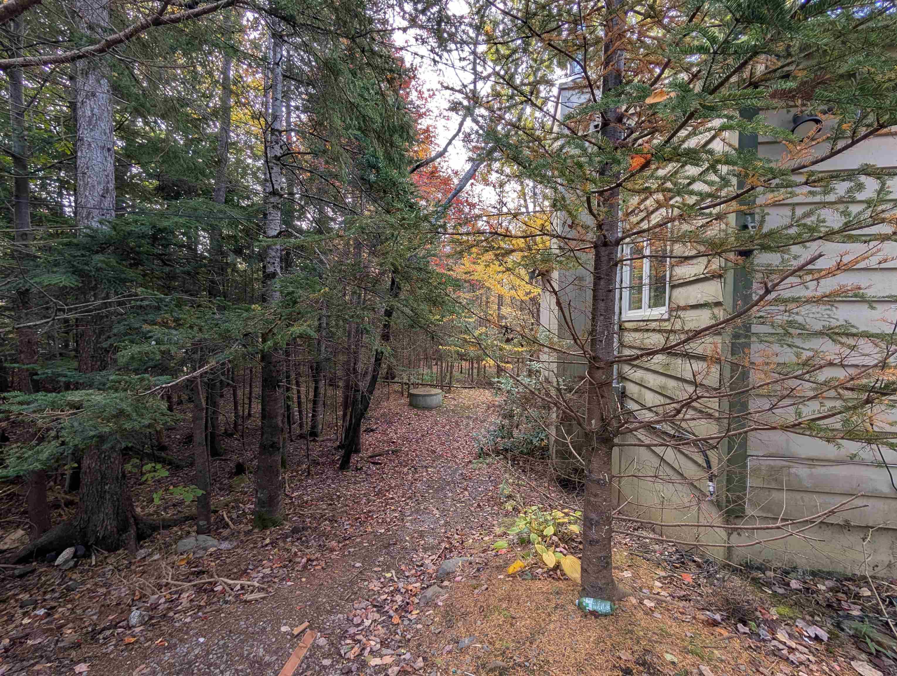 View image 5