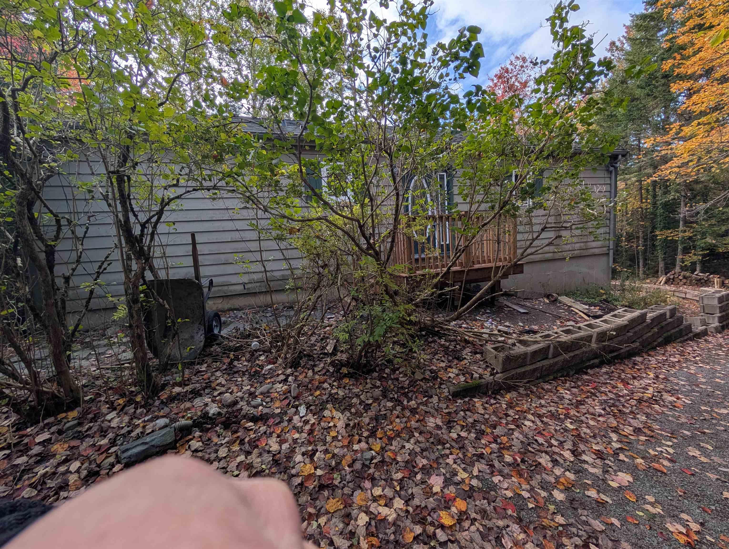 View image 7