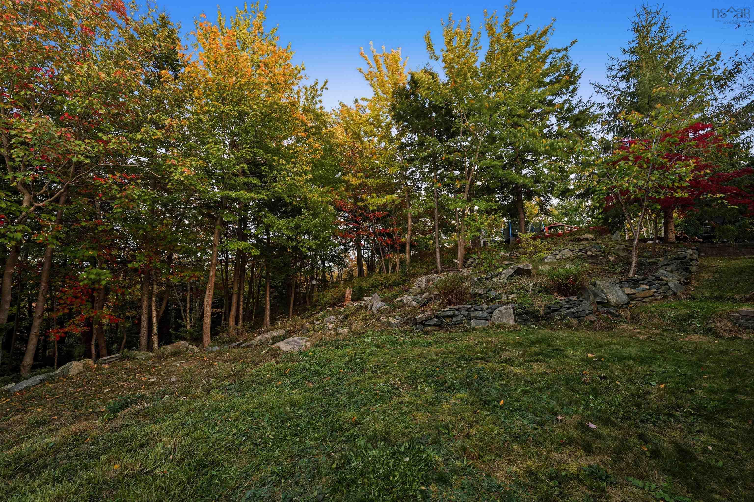 View image 45