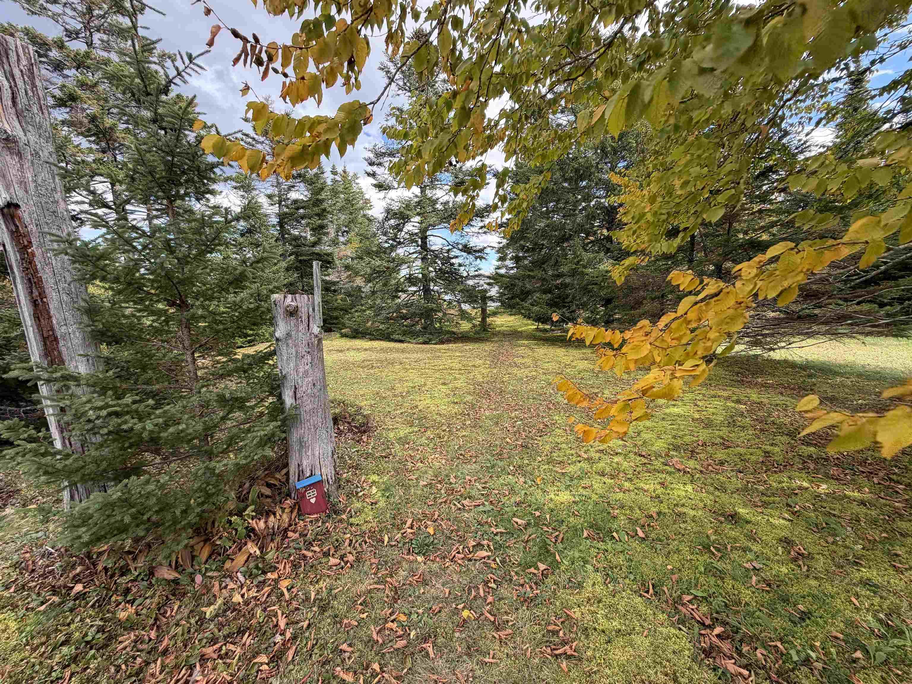 View image 14