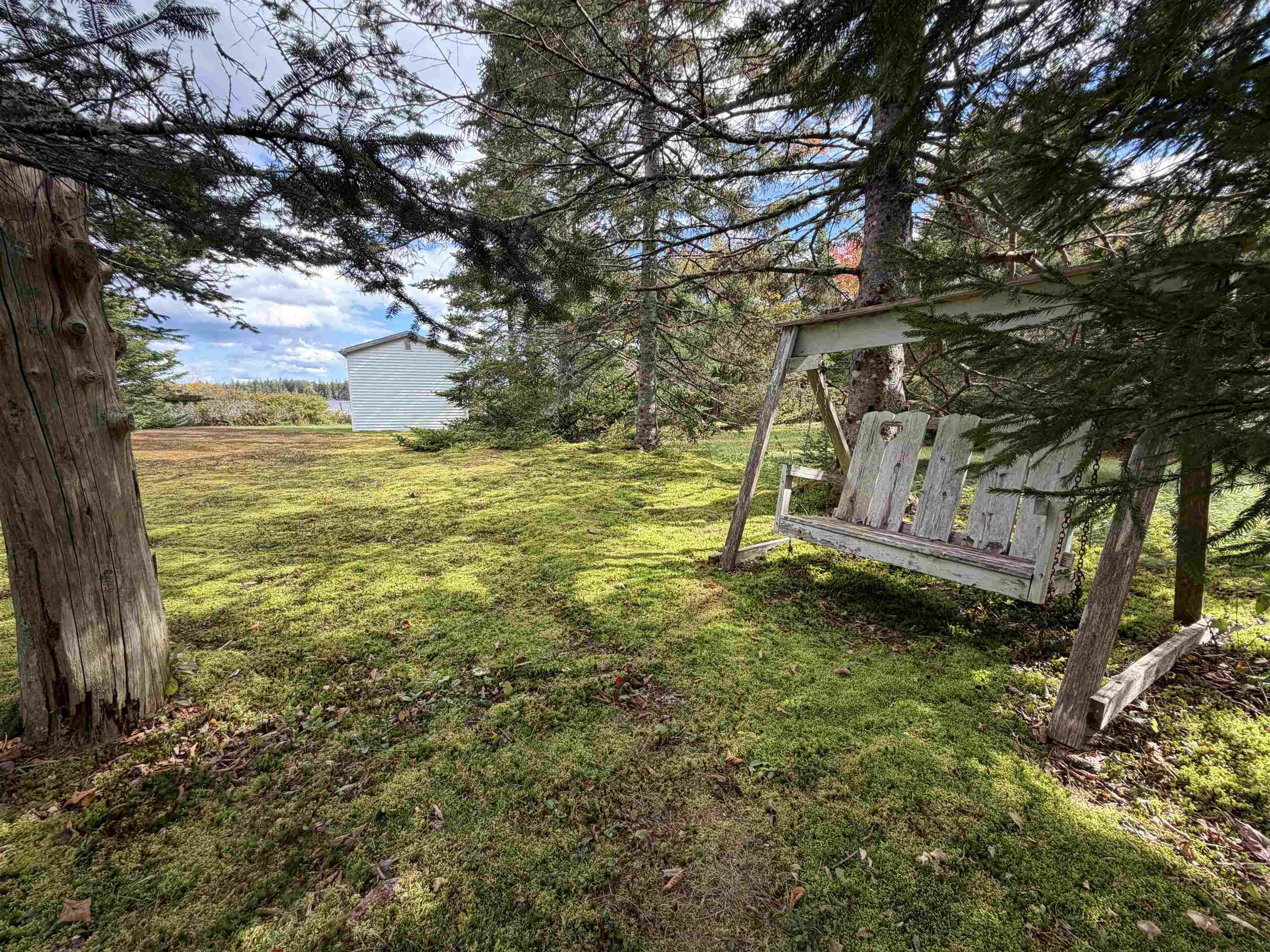 View image 15
