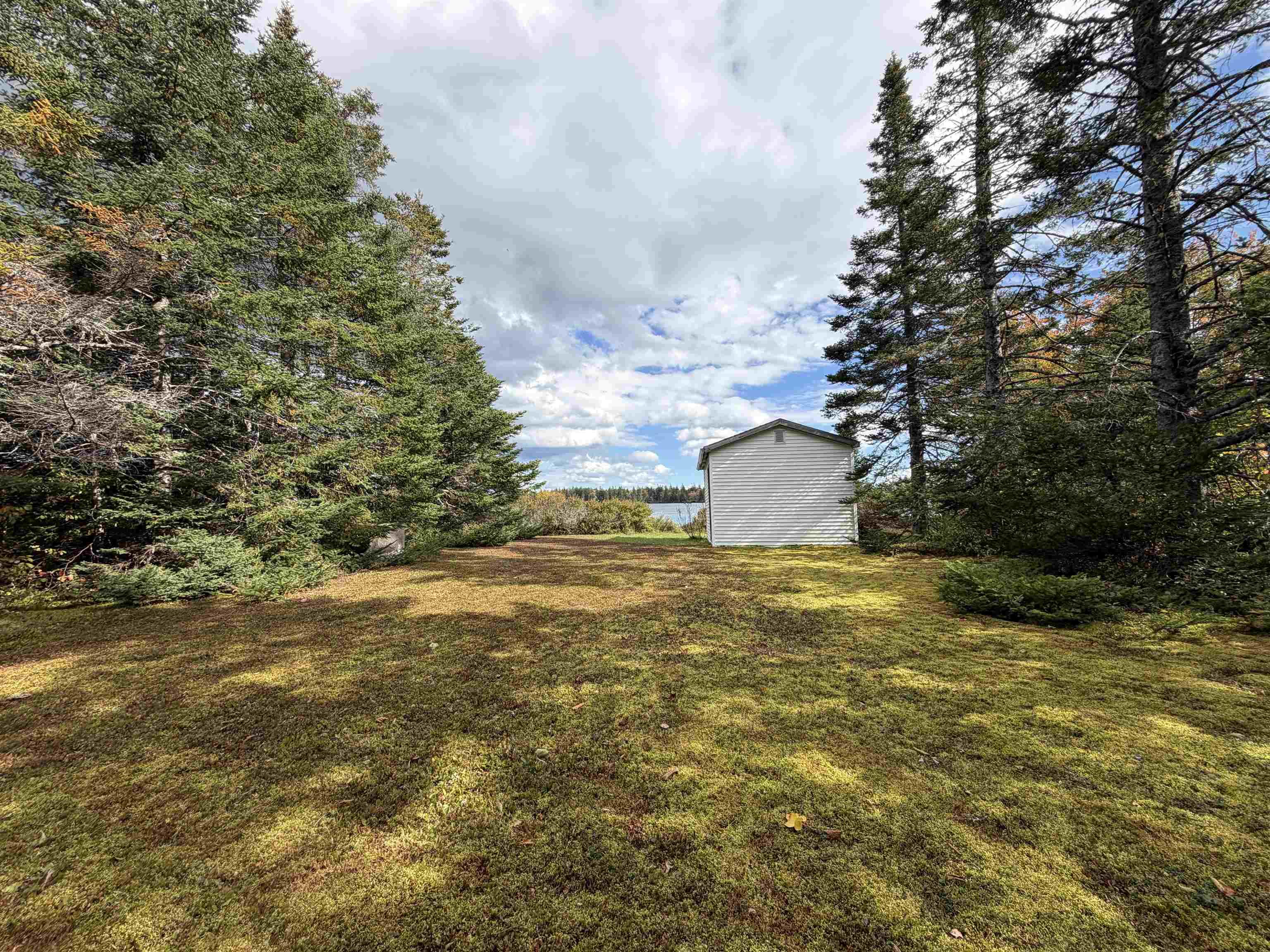 View image 16