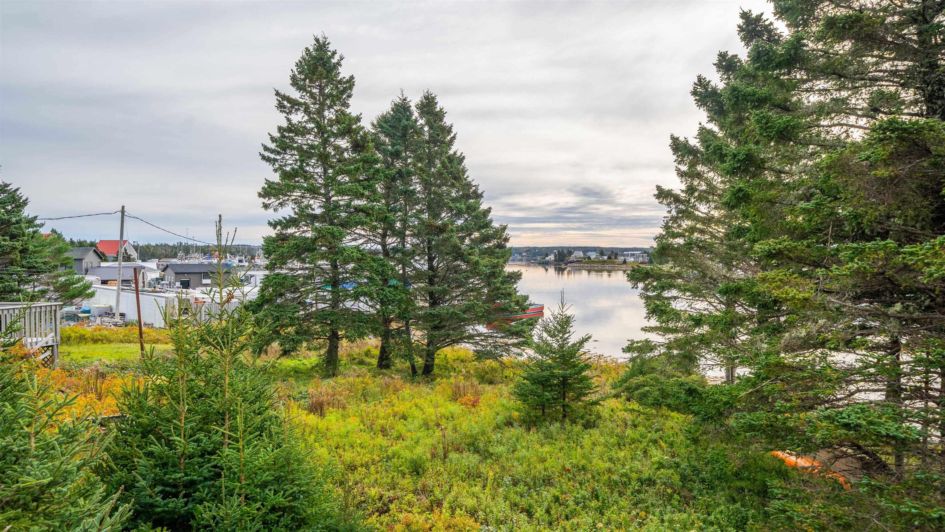 View image 40