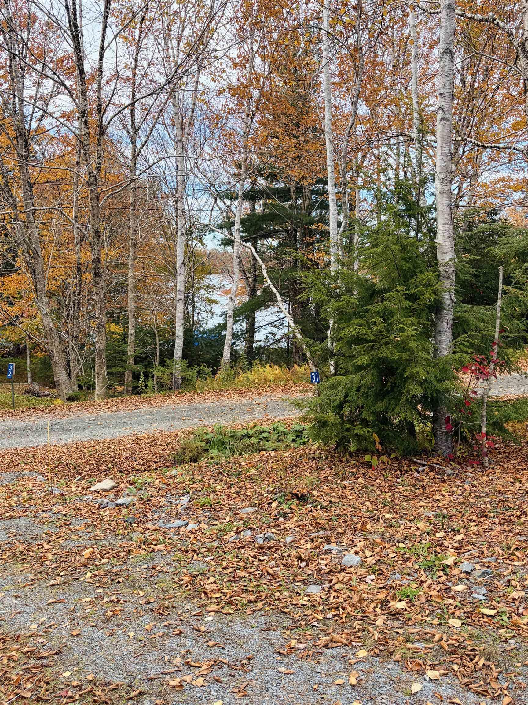 View image 19