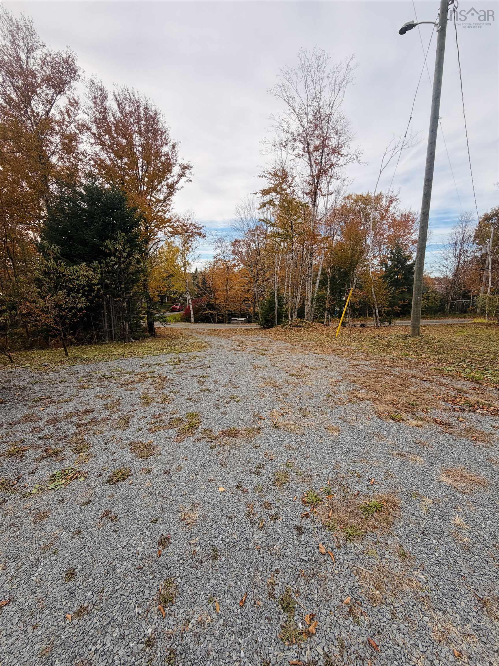 View image 3