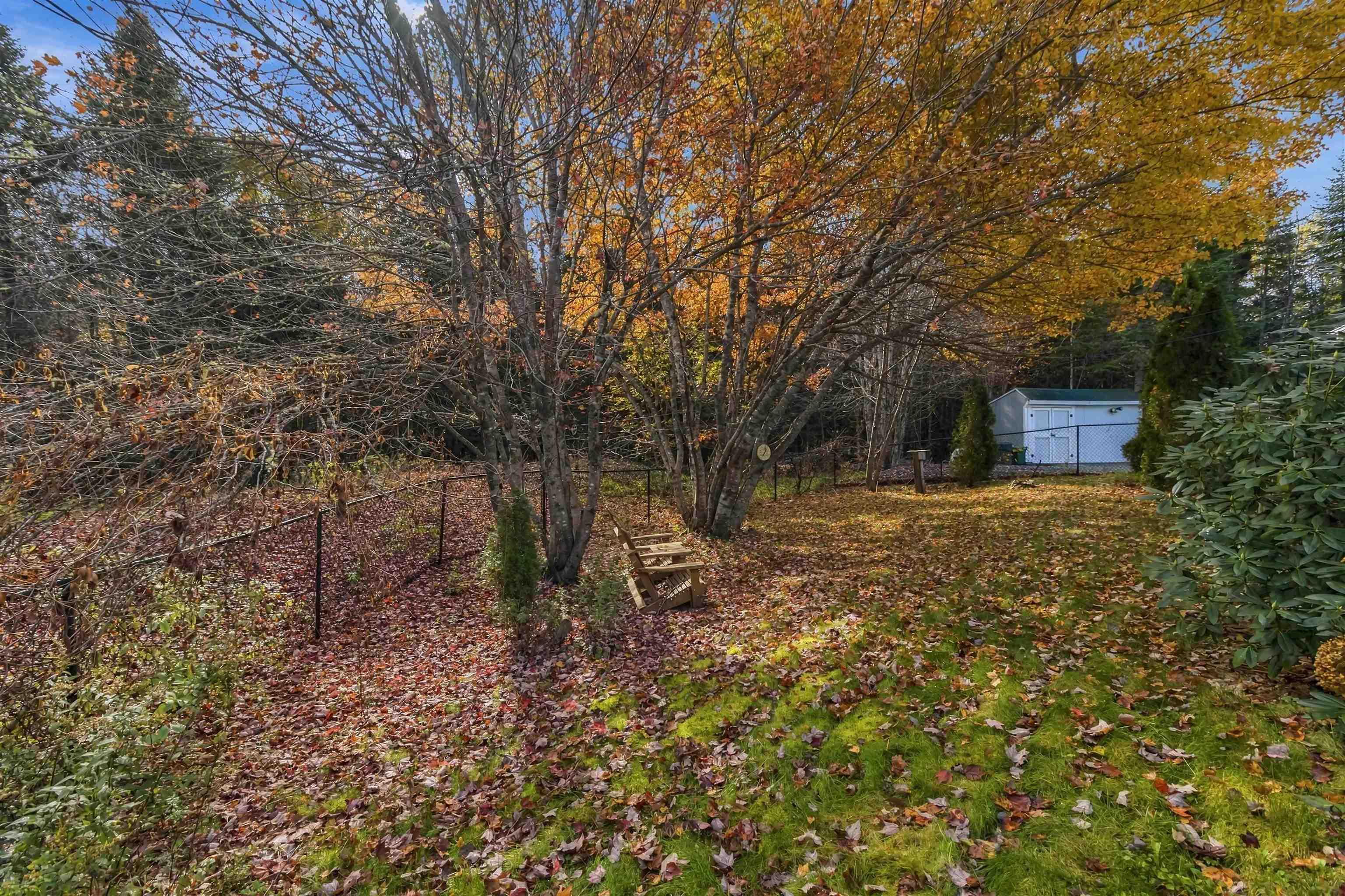 View image 29