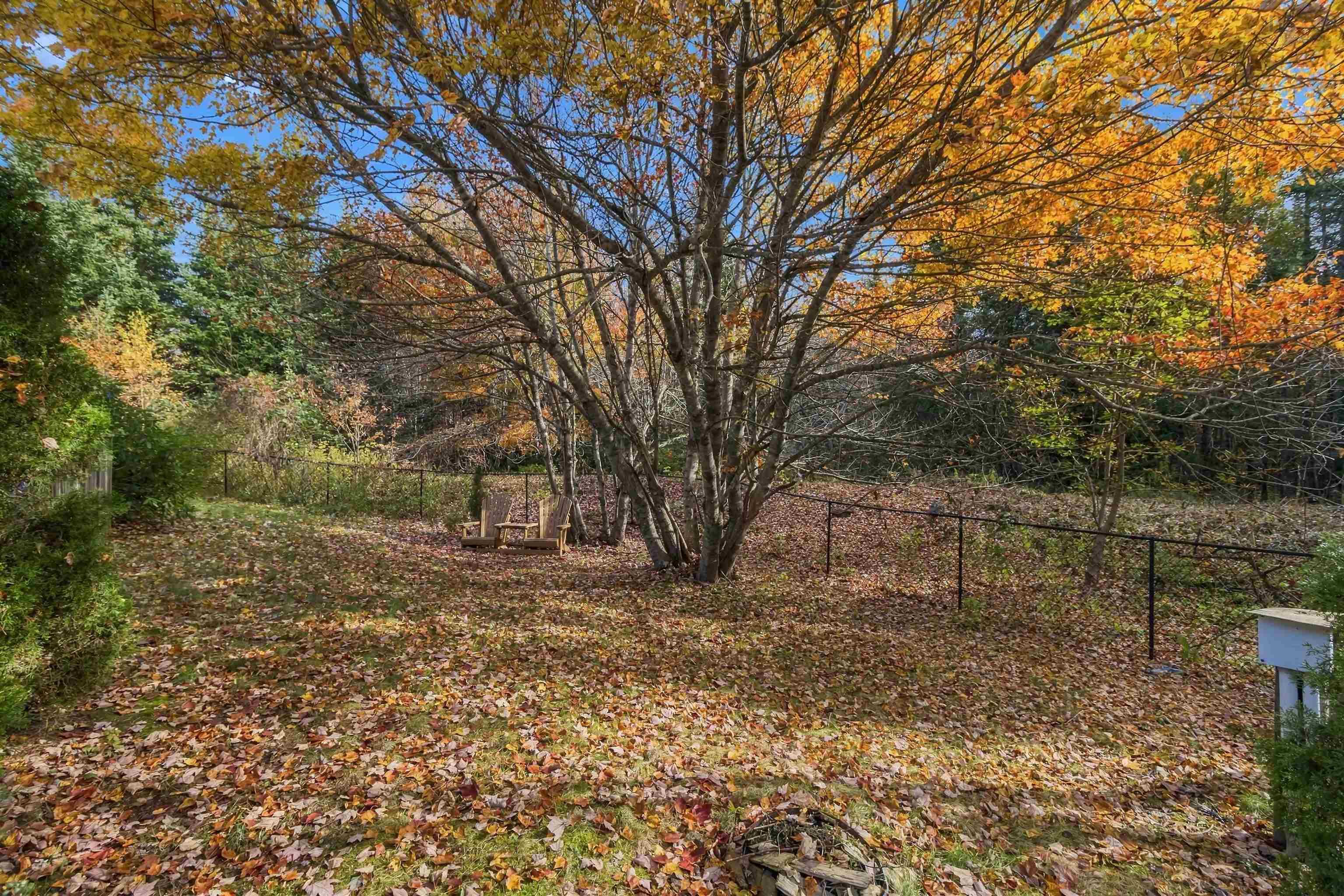 View image 31