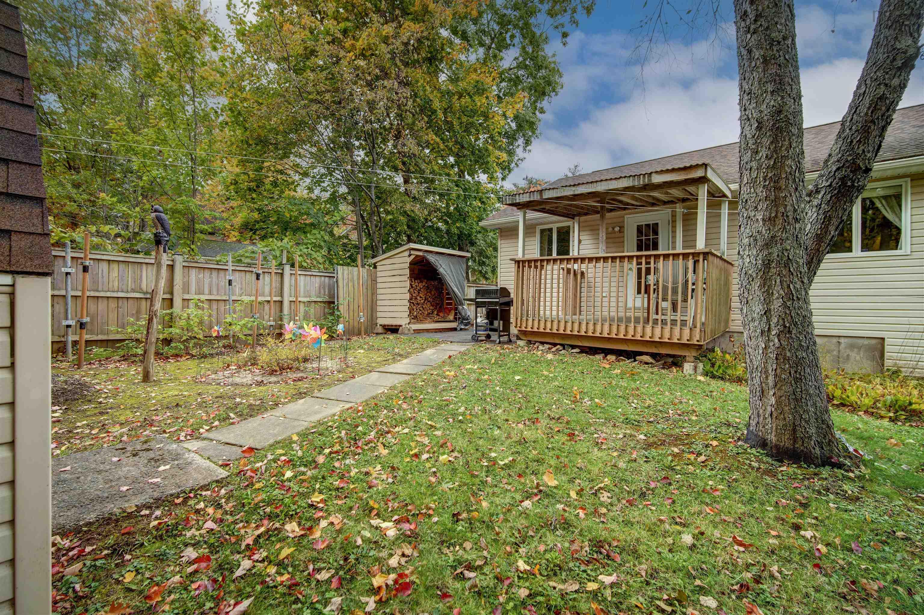 View image 11