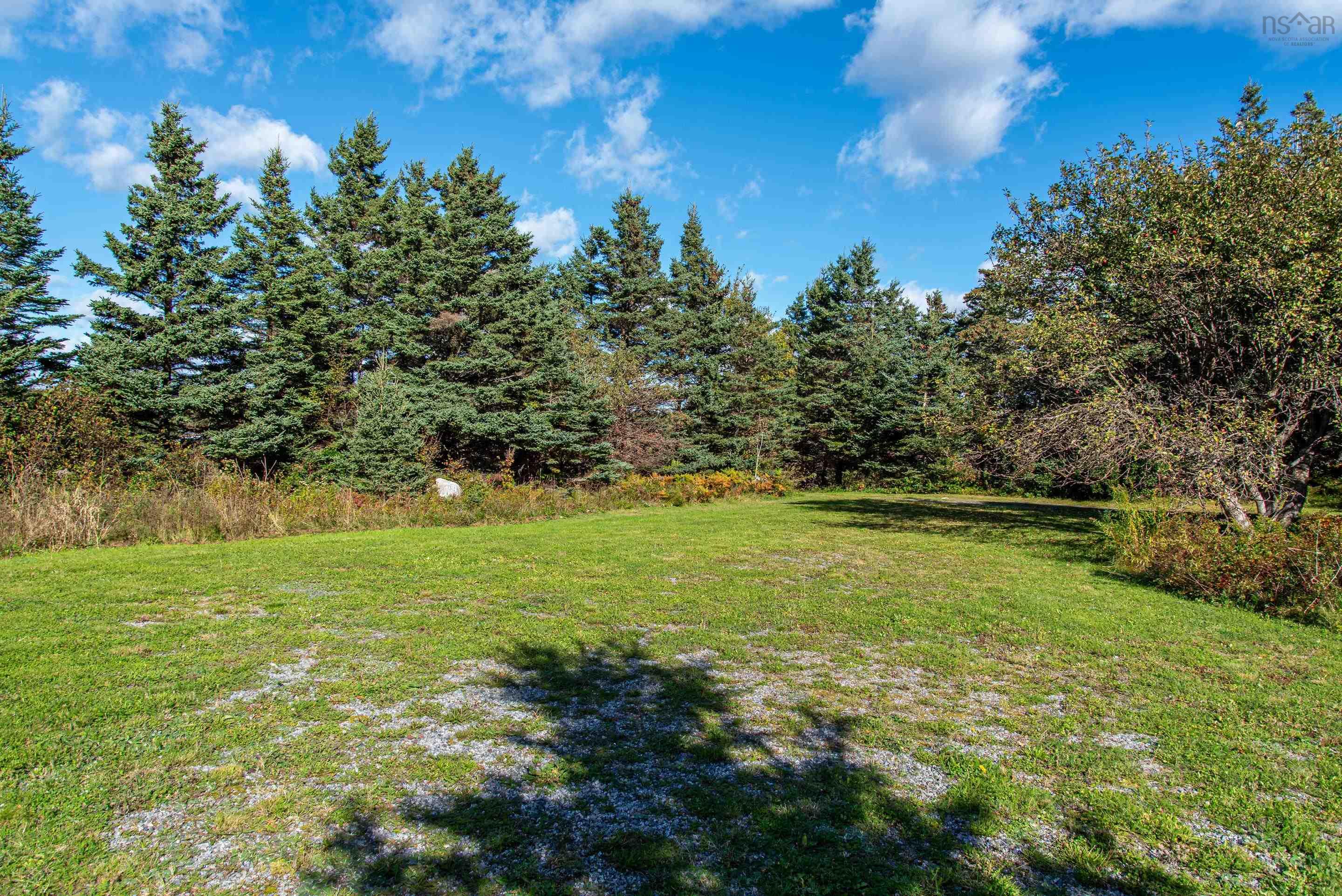 View image 50