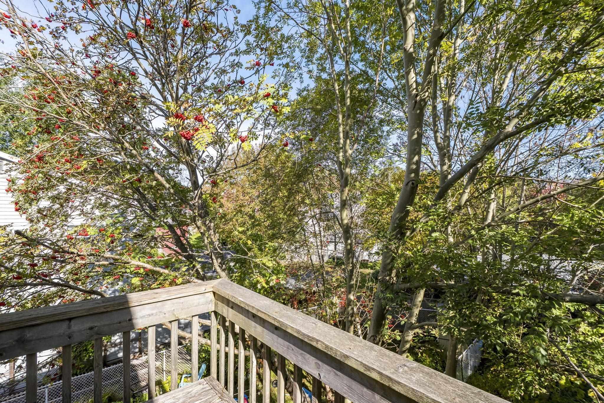 View image 28