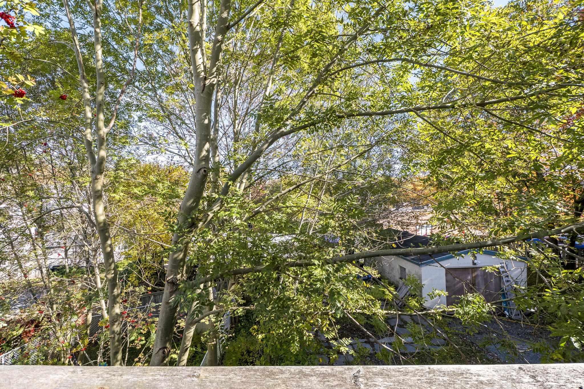 View image 29