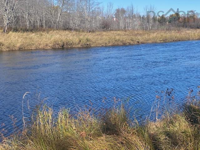 View image 2