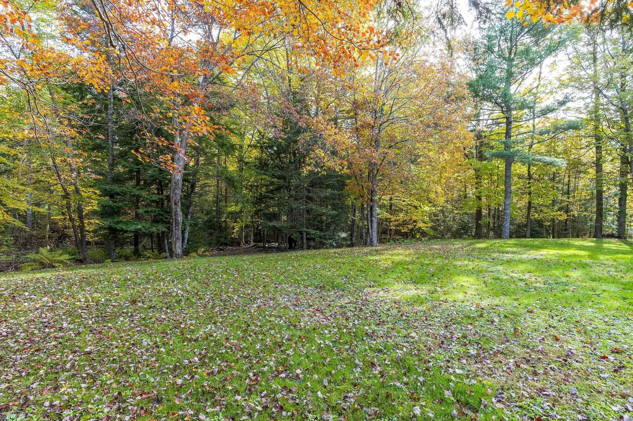 View image 40