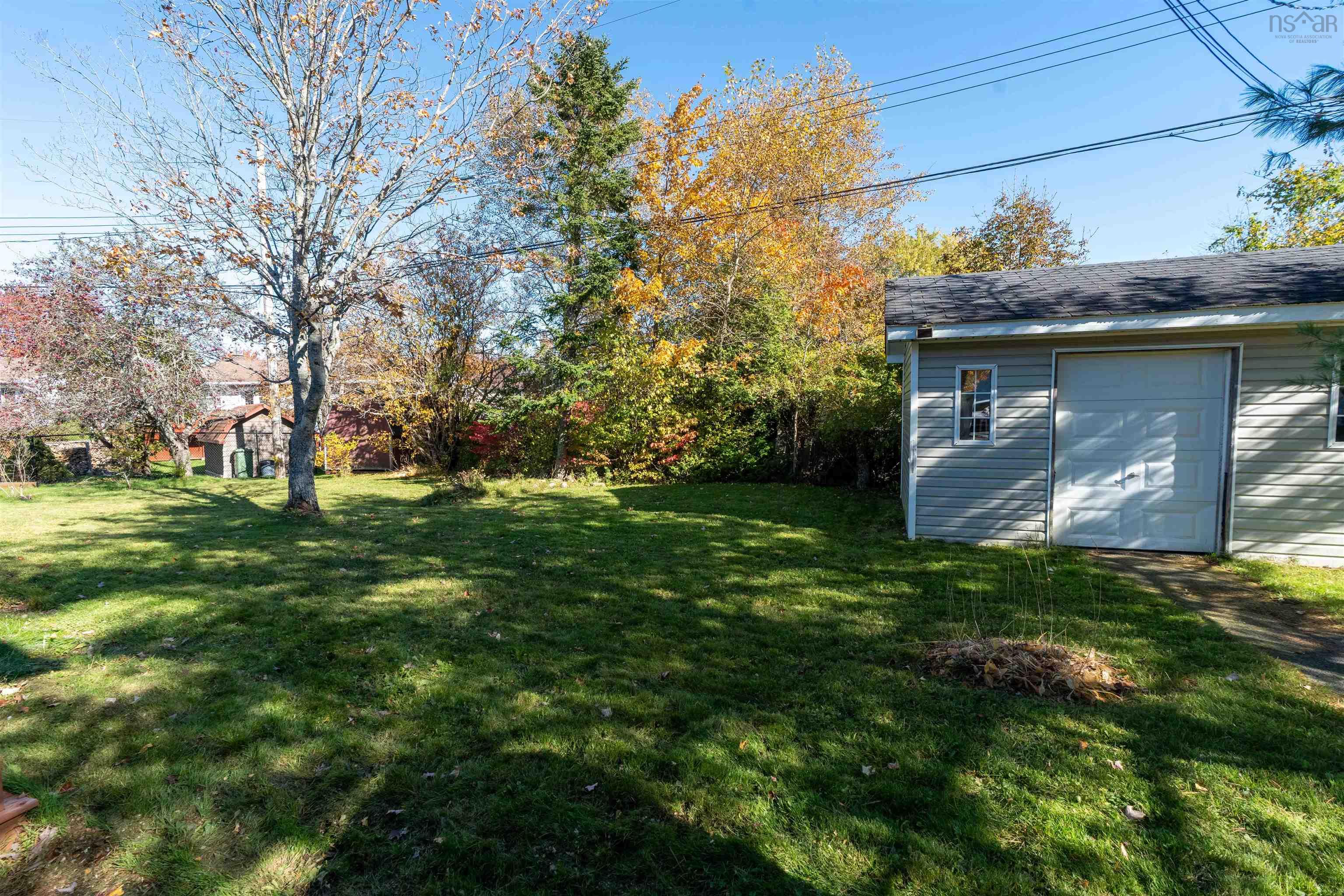 View image 11