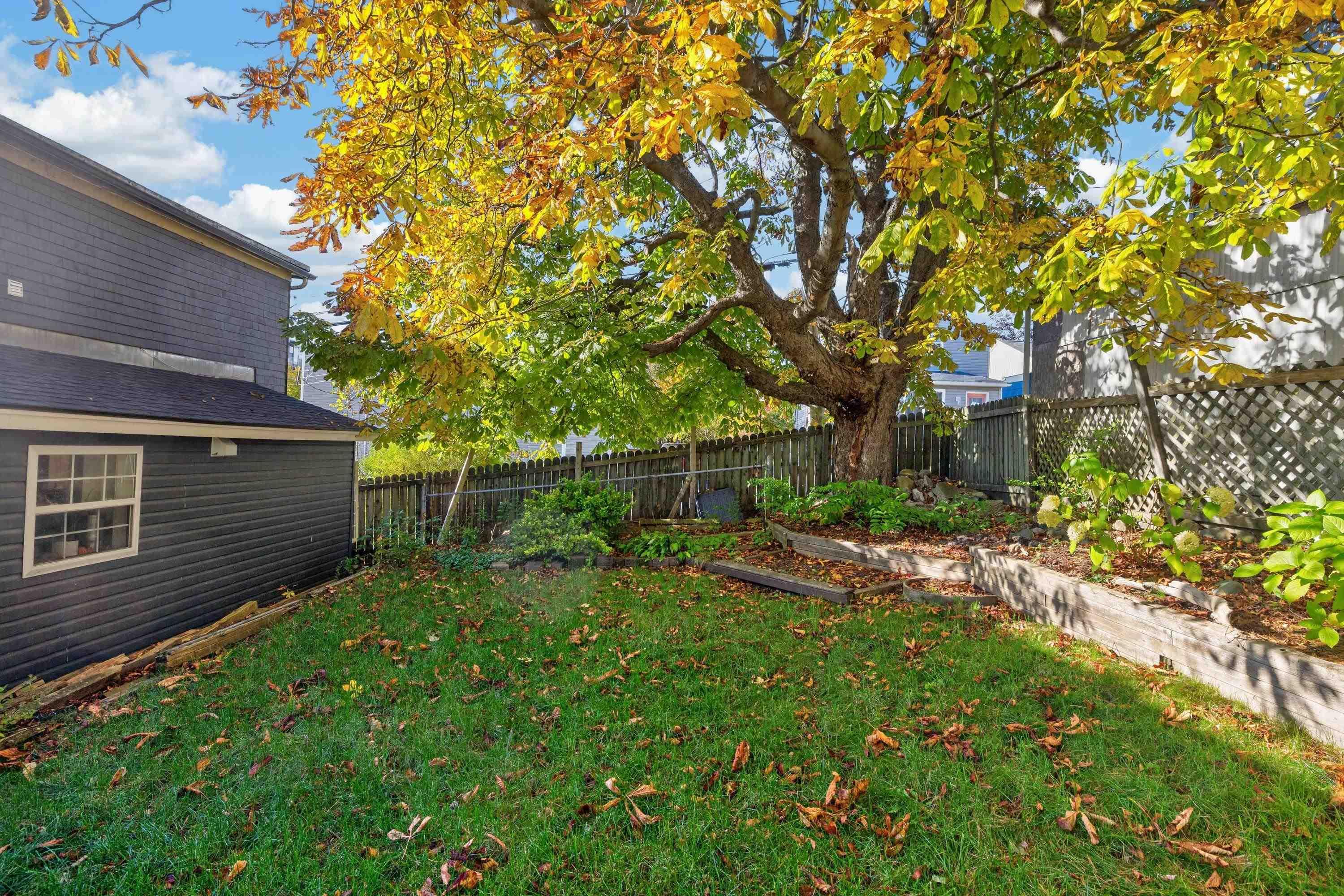 View image 39
