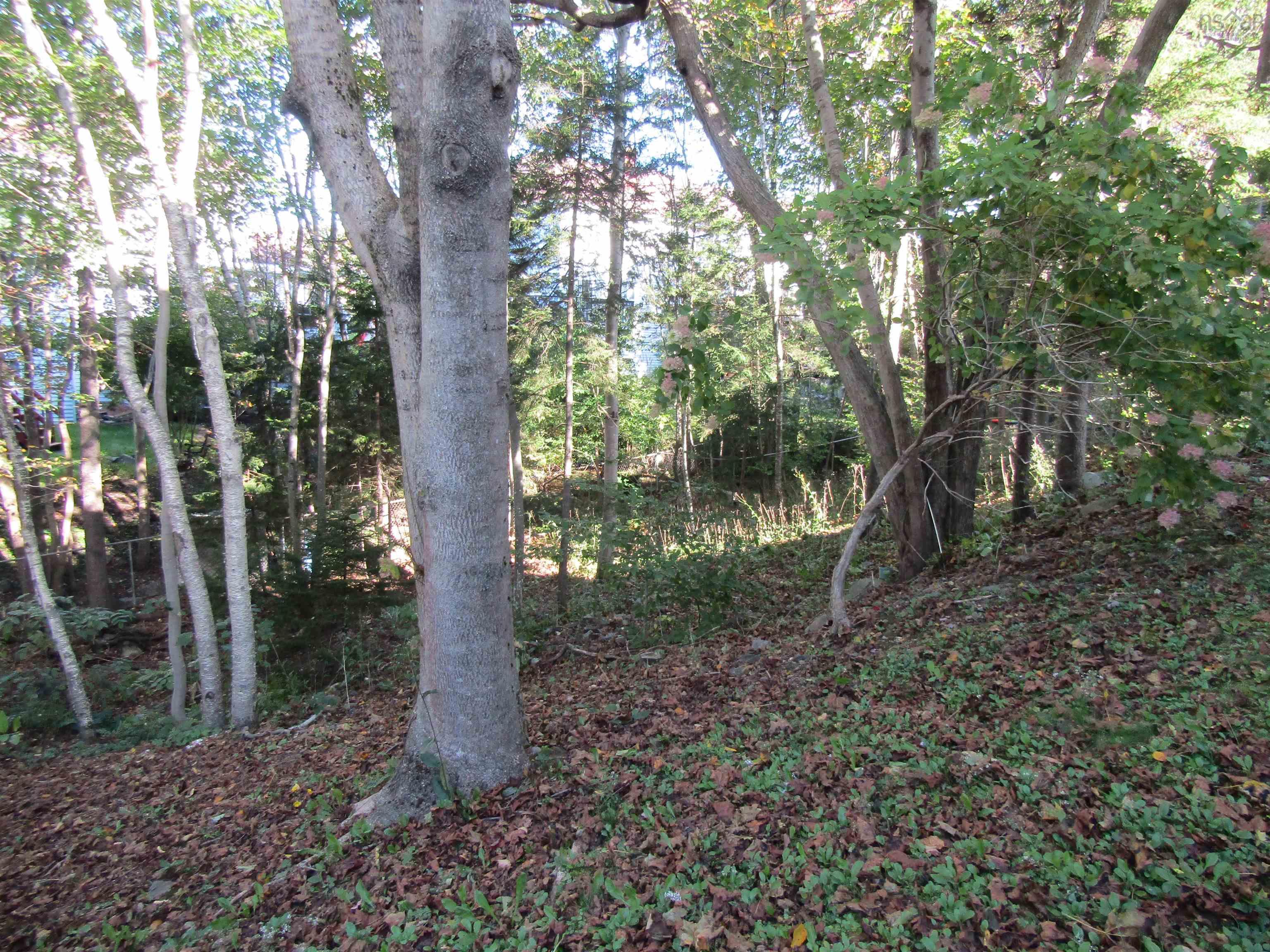 View image 6