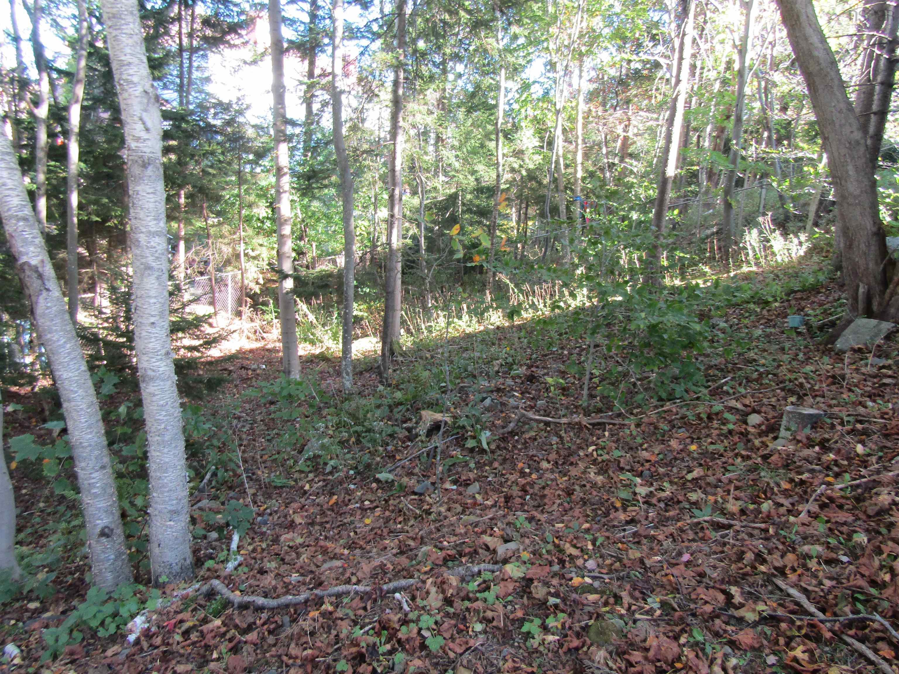 View image 7