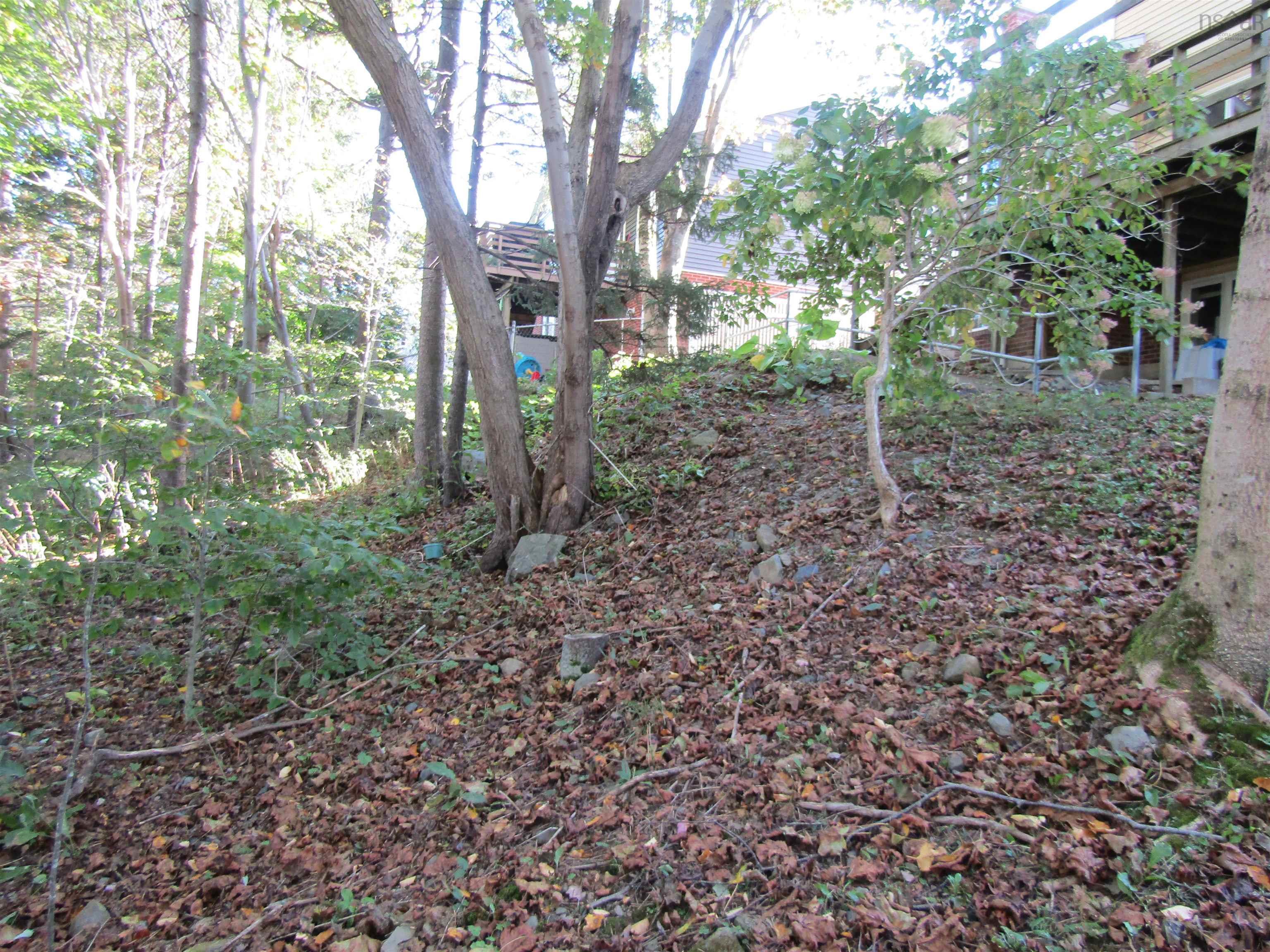 View image 8