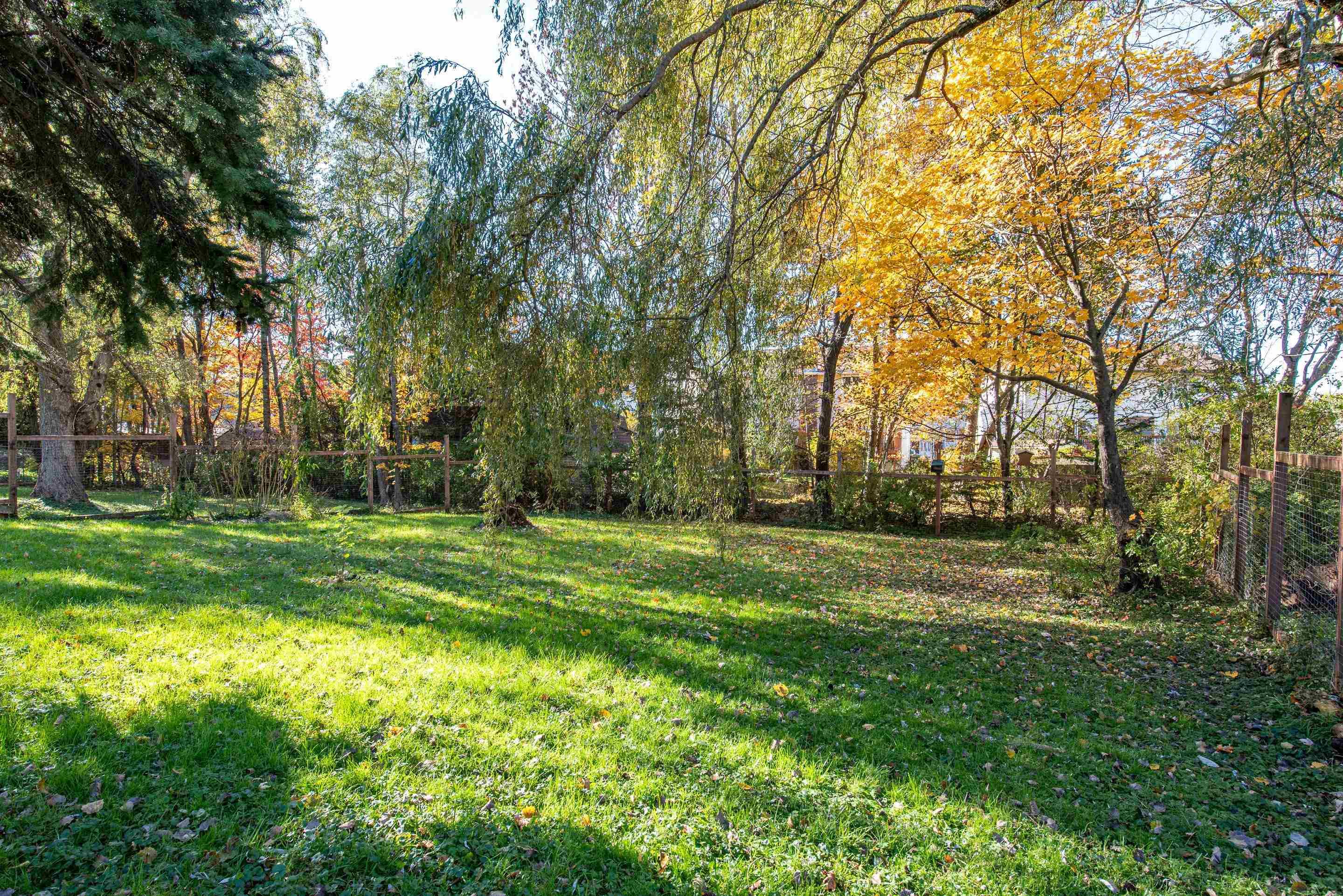 View image 28