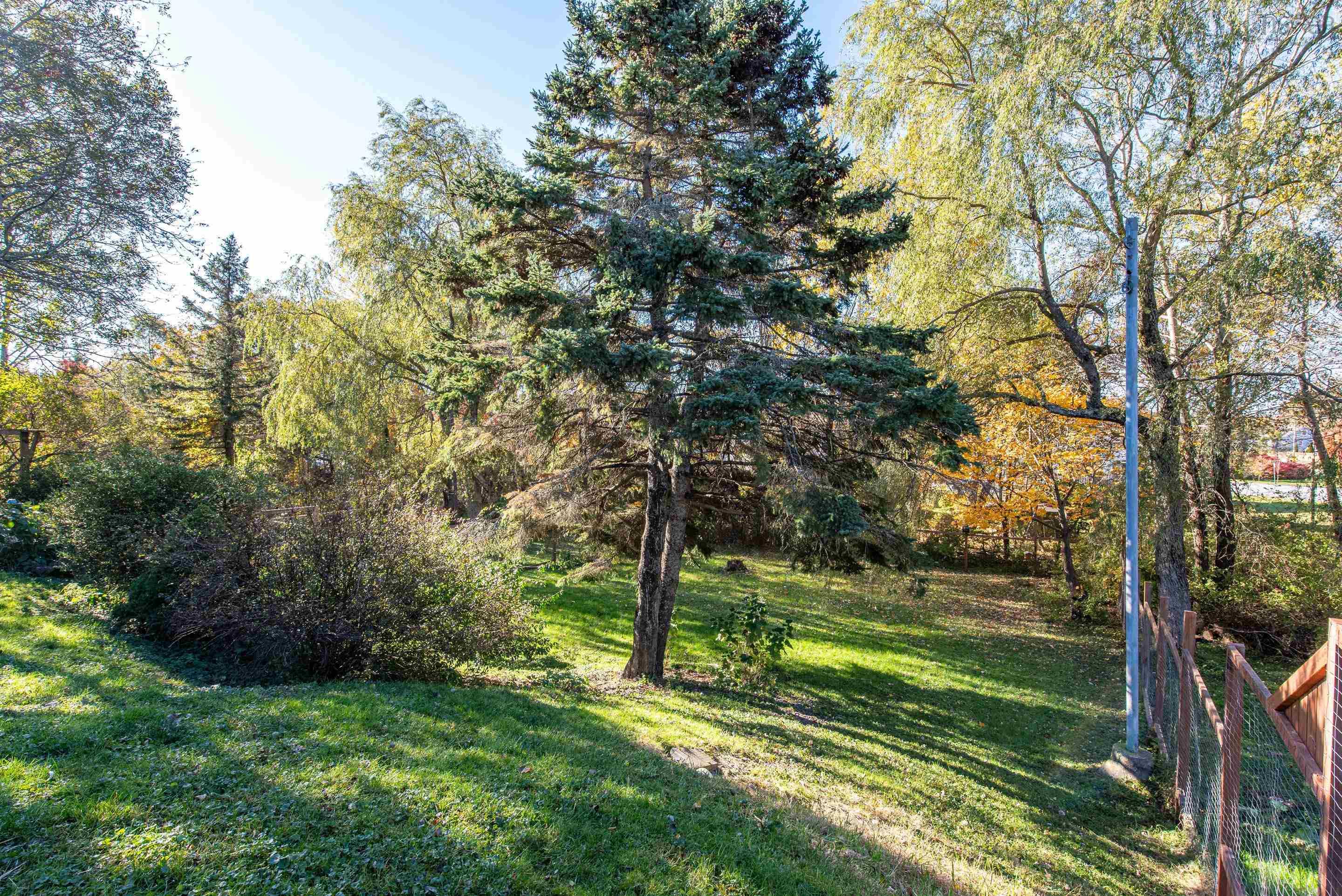 View image 29
