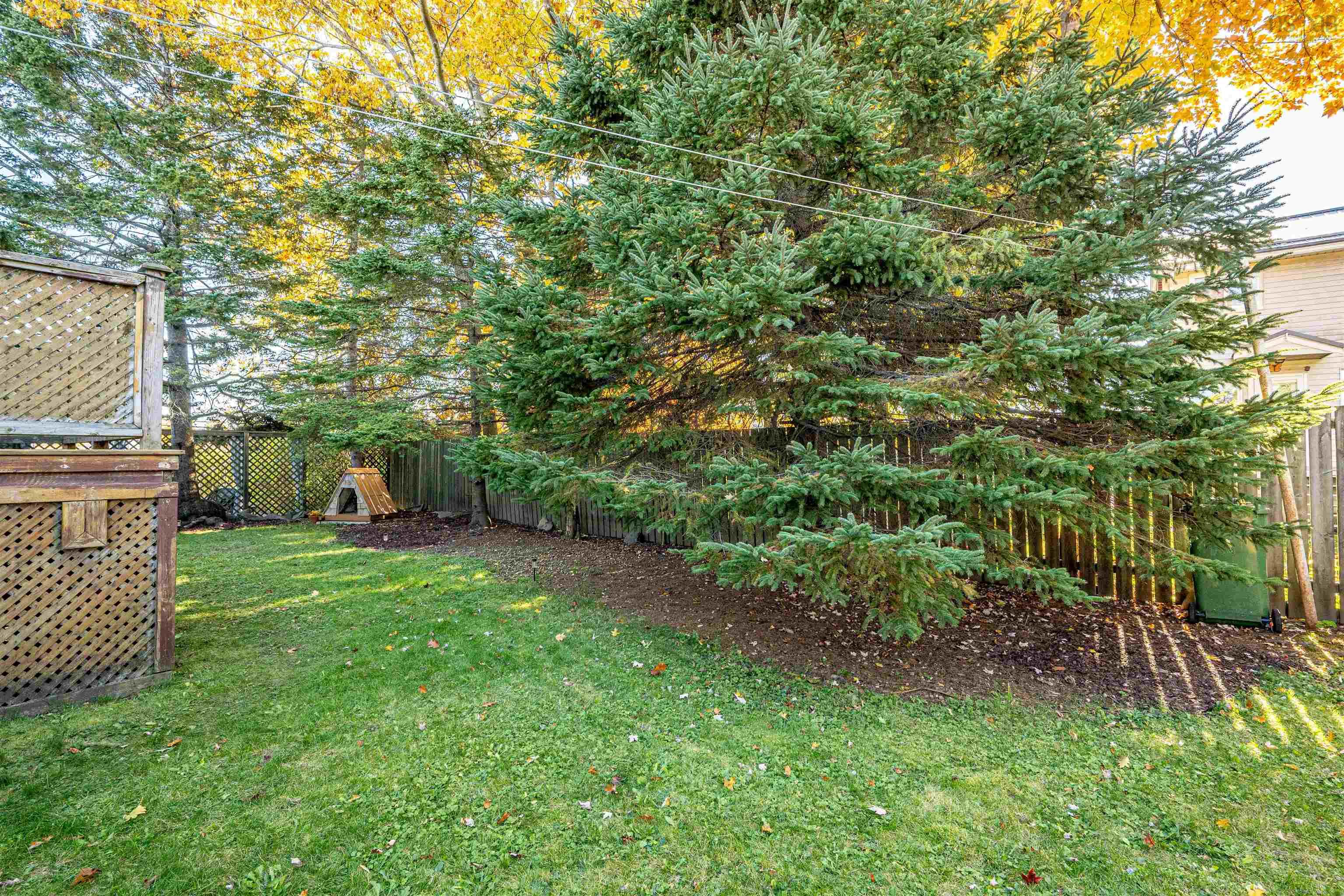 View image 50