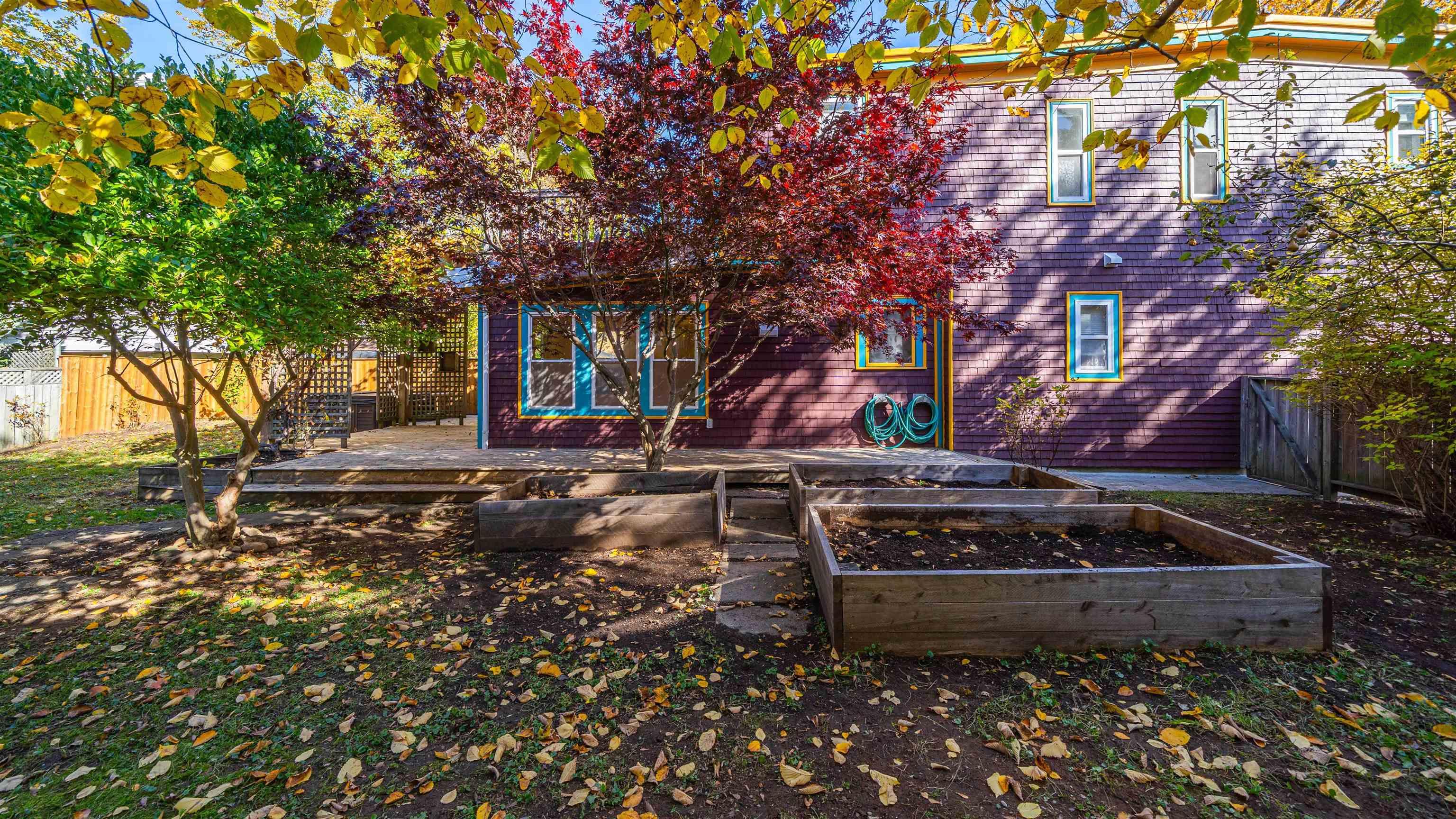 View image 41