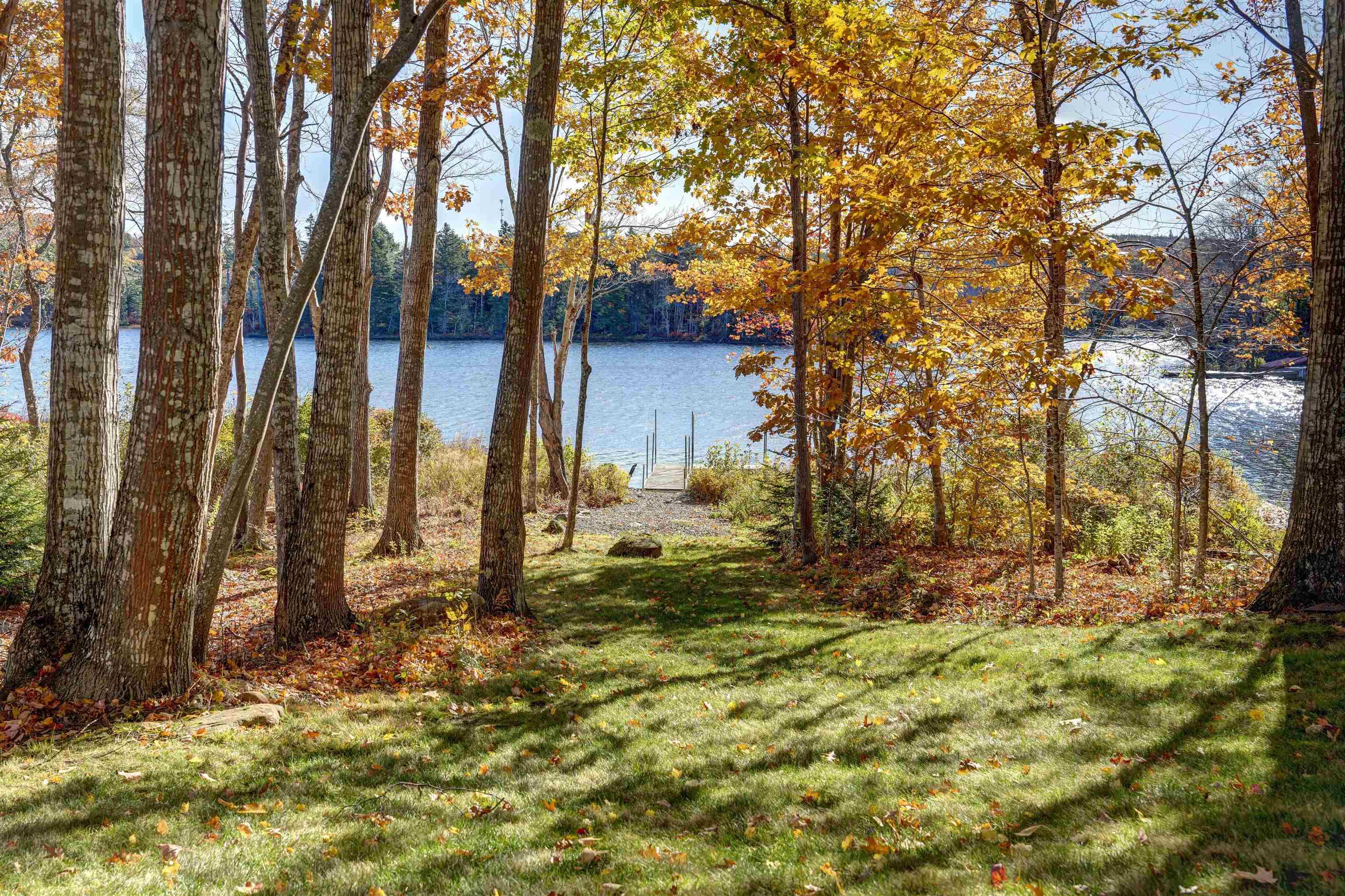 View image 6